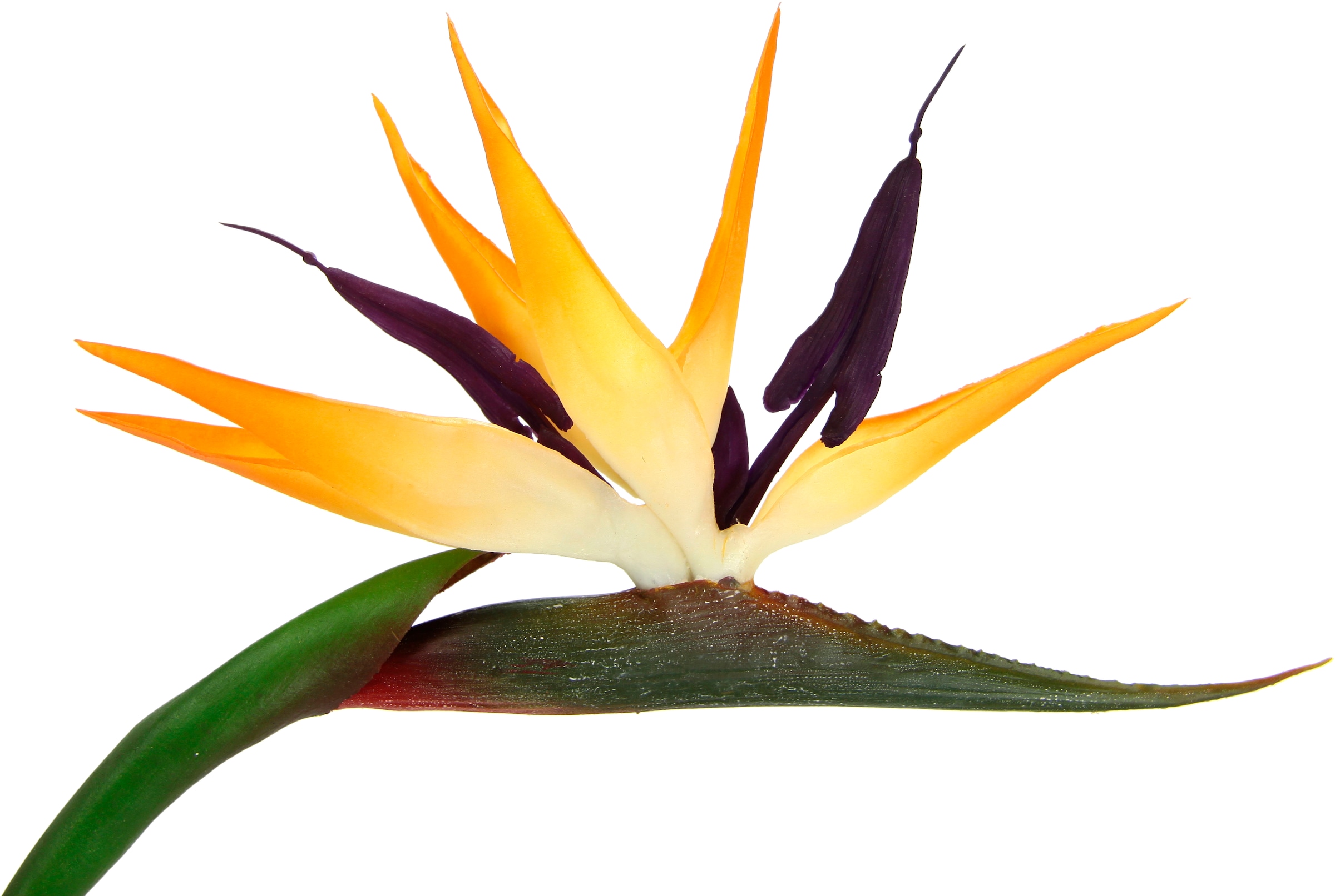 I.GE.A. Kunstblume »Künstliche Blume Strelitzie Paradiesvogelblume Exotischer Dekozweig«, Zweig Einzelblume Dekoblume Stielblume Hochzeit Dekoration
