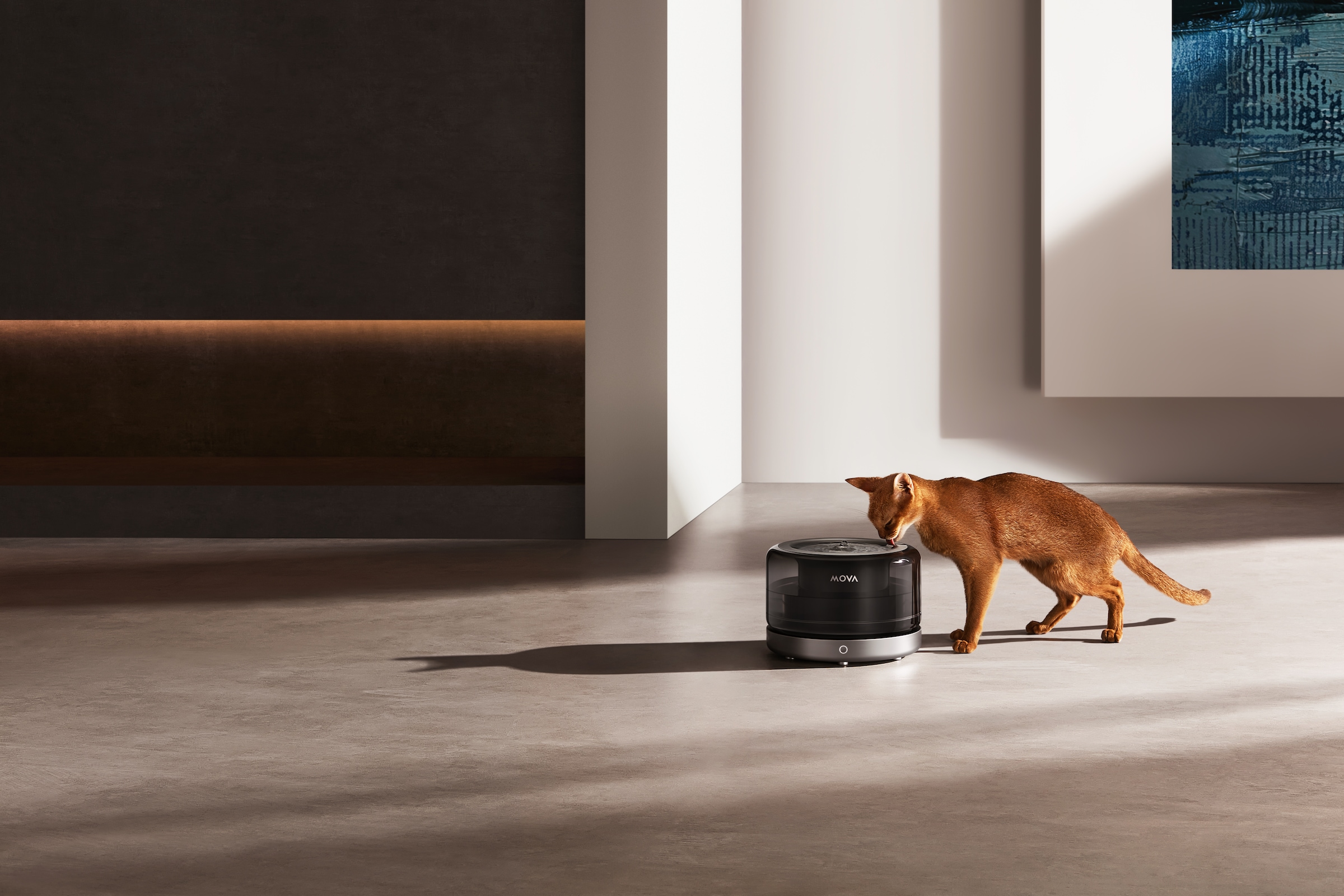 Mova Trinkbrunnen »WF20 Pro«