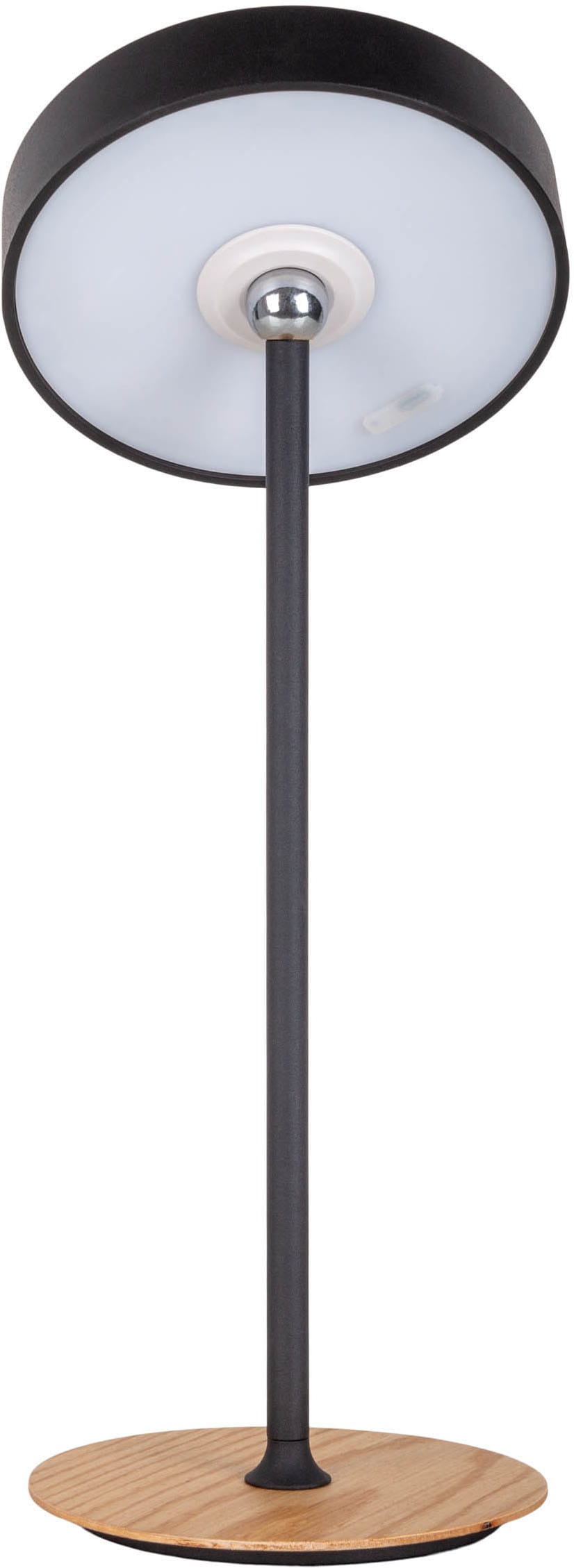 my home LED Tischleuchte »Charmont mit Holzfuß, abnehmbares Kopfteil als Hängeleuchte verwendbar« LED-Modul 1 Stk. Warmweiß aufladbar, inkl Akku + USB Kabel, Kopfteil magnetisch, abnehmbar, Holz