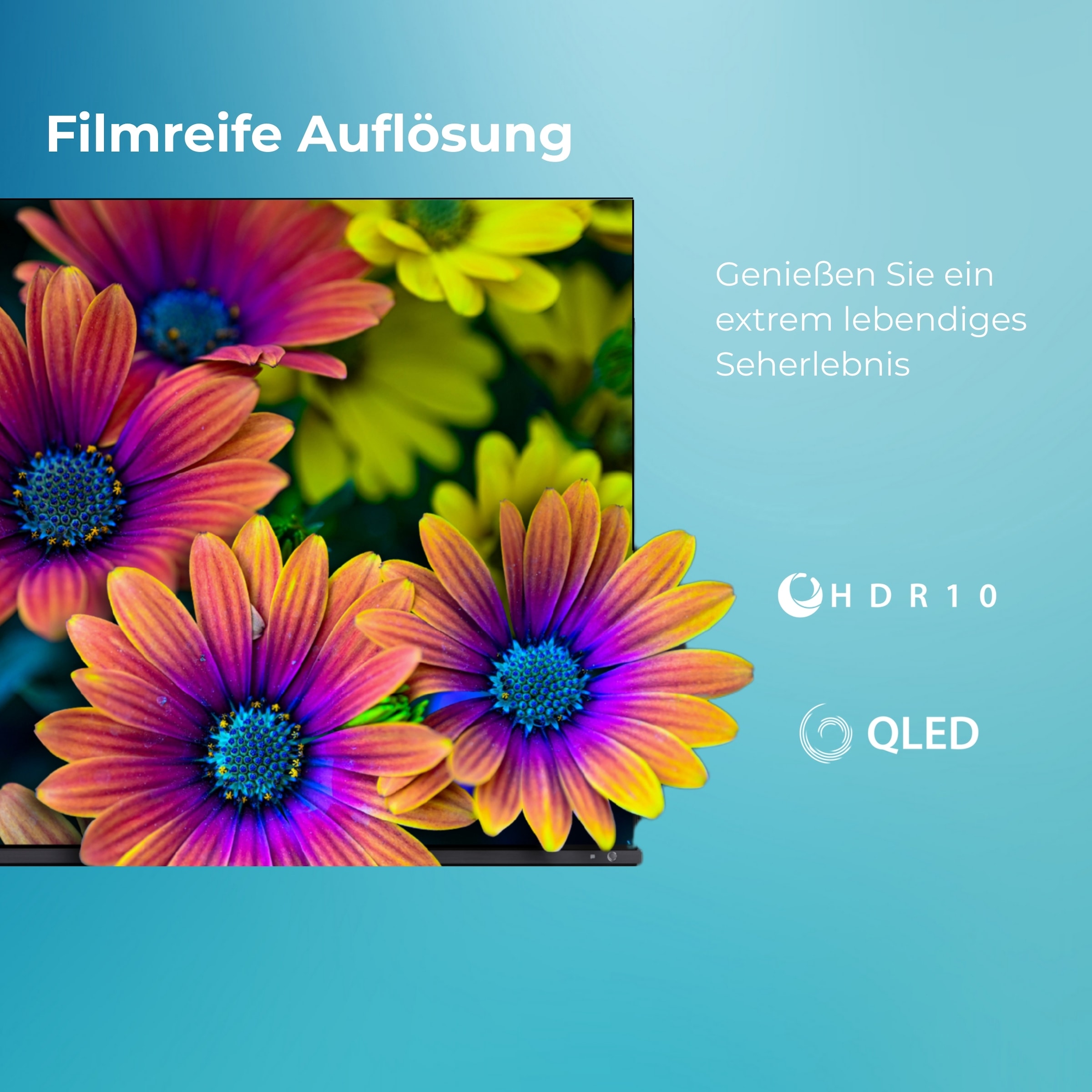 Toshiba LED-Fernseher »55QV1563DDW« 139 cm/55 ″ Smart-TV