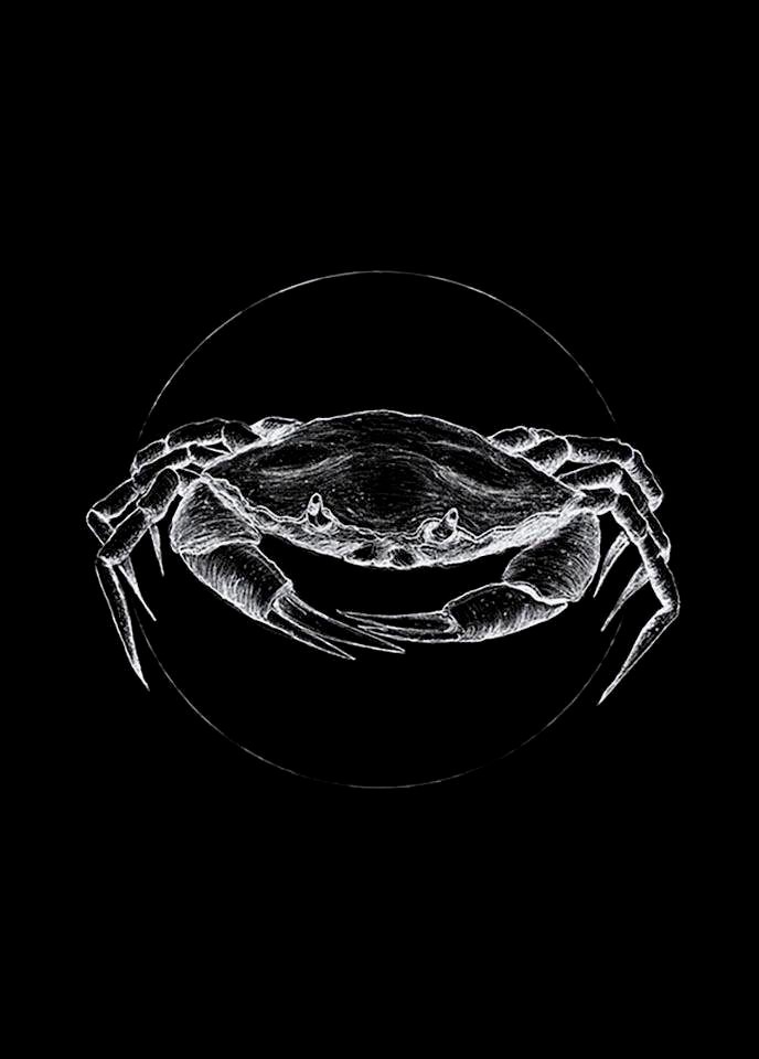 Komar Bild »Crab Black« Tiere 1 Stk. tlg. Wandbild zur Dekoration - ohne Rahmen