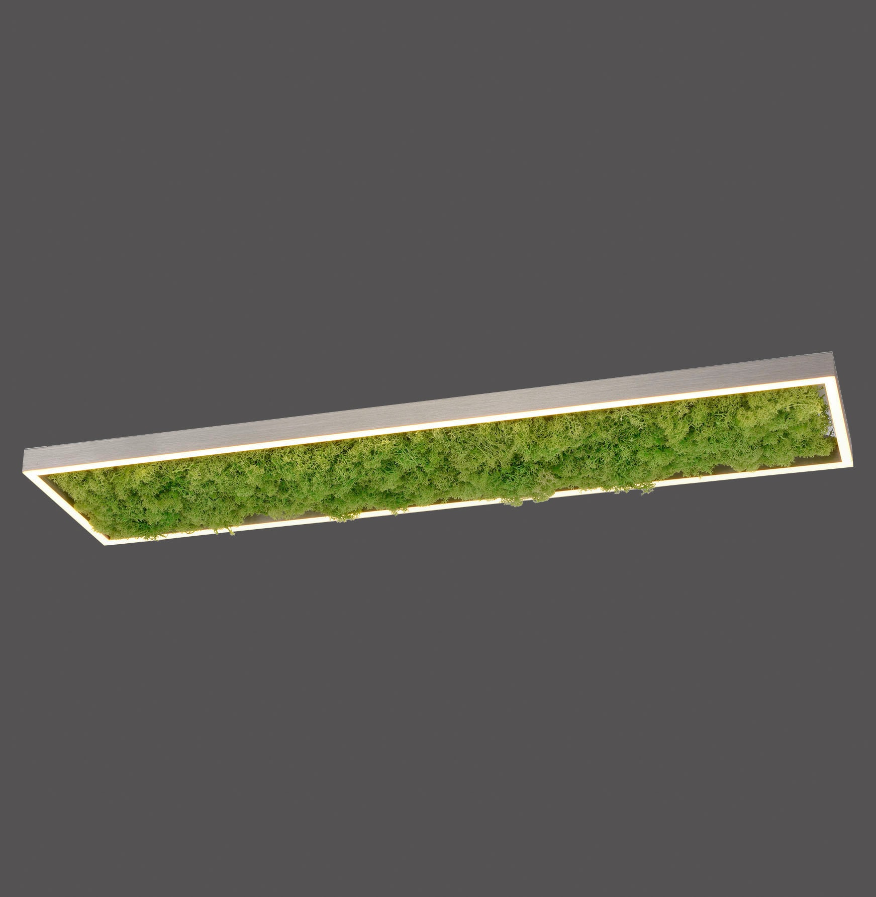JUST LIGHT Deckenleuchte »GREEN KNUT«, 1 flammig, Leuchtmittel LED-Board | LED fest integriert