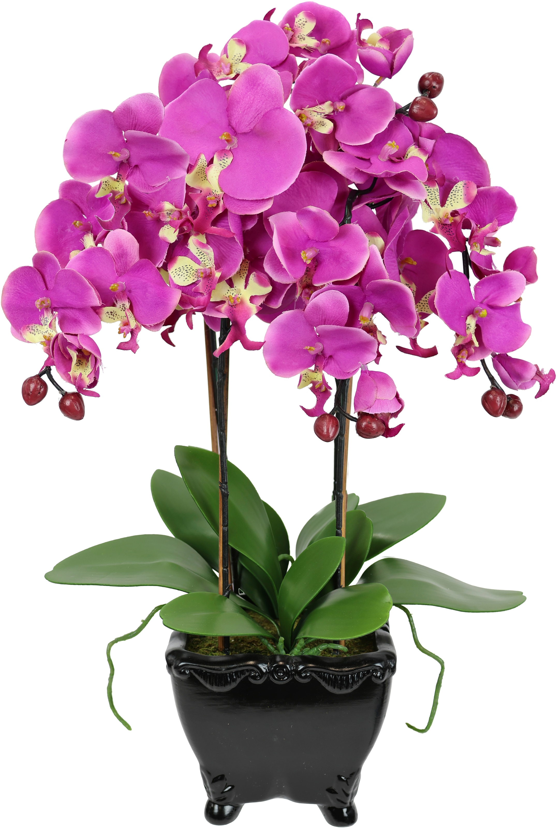 I.GE.A. Kunstblume »Künstliche Orchidee in Schale Phalaenopsis Kunstblume Blume«,...