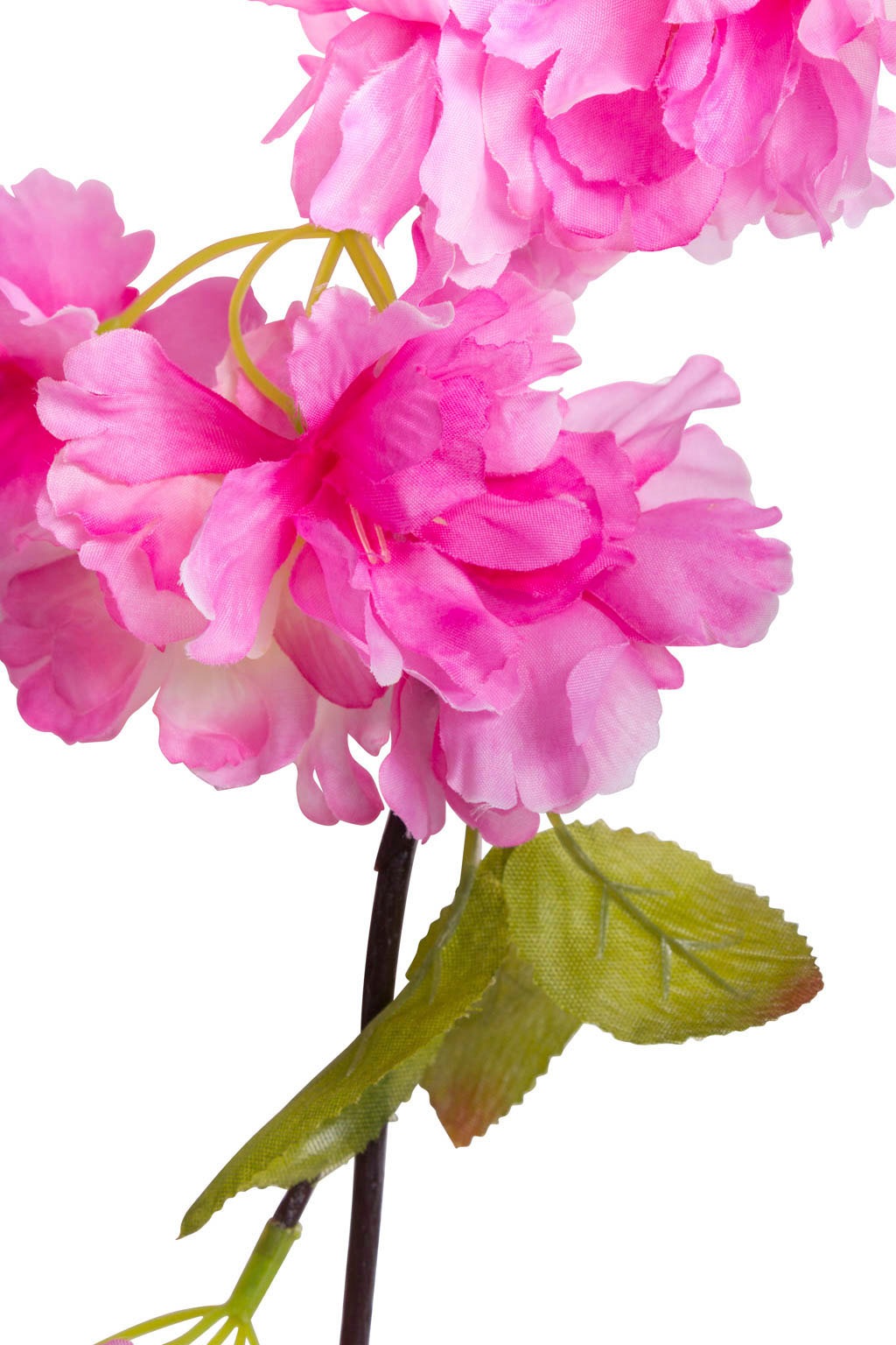 Botanic-Haus Kunstblume »Kirschblütengirlande« bestellen auf Rechnung