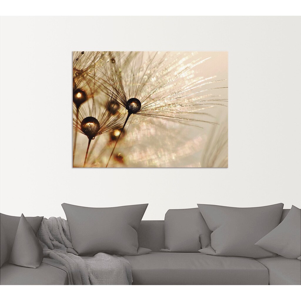 Artland Wandbild »Pusteblume Goldener Tropfen«, Blumen, (1 St.)