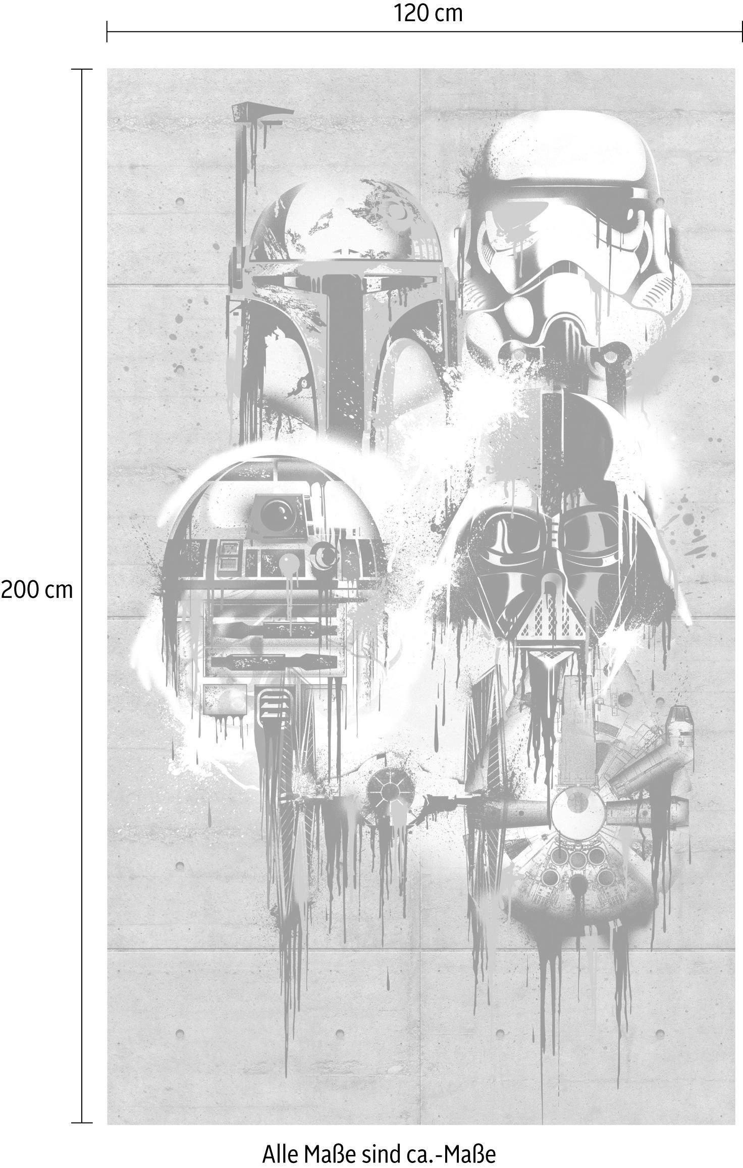 Komar Vliestapete »Star Wars Celebrate The Galaxy«, 120x200 cm (Breite x Höhe), Vliestapete, 100 cm Bahnbreite