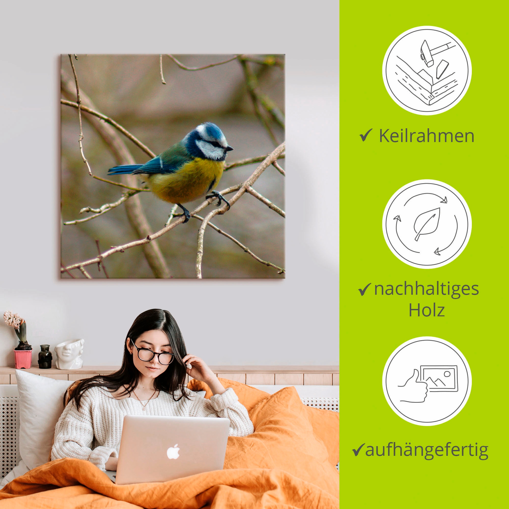 Artland Wandbild »Blaumeise« Vögel 1 Stk. tlg. als Leinwandbild, Wandaufkleber in verschied. Größen