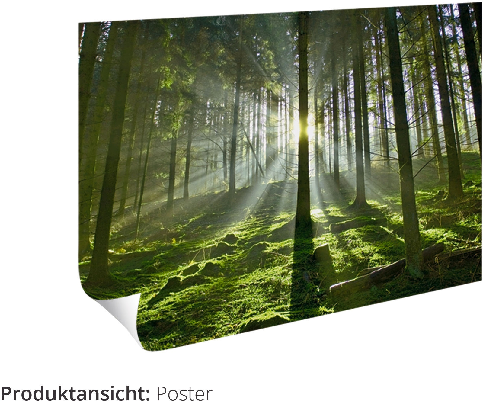 Artland Wandbild »Hirsch im Winterwald«, Hirschbilder, (1 St.), als  Leinwandbild, Poster in verschied. Größen auf Rechnung kaufen