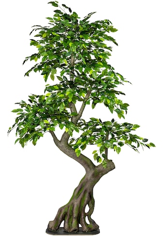 Creativ green Kunstbaum »Ficus Benjamini«, (1 St.) kaufen