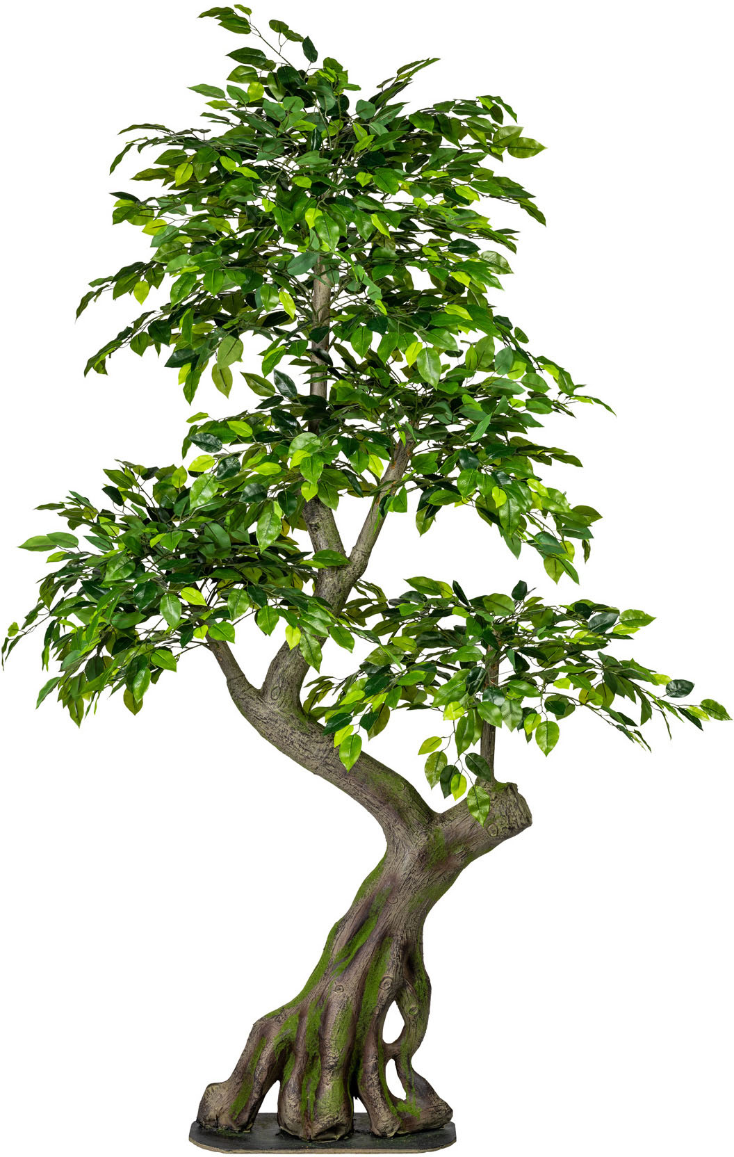 Kunstbaum »Ficus Benjamini«