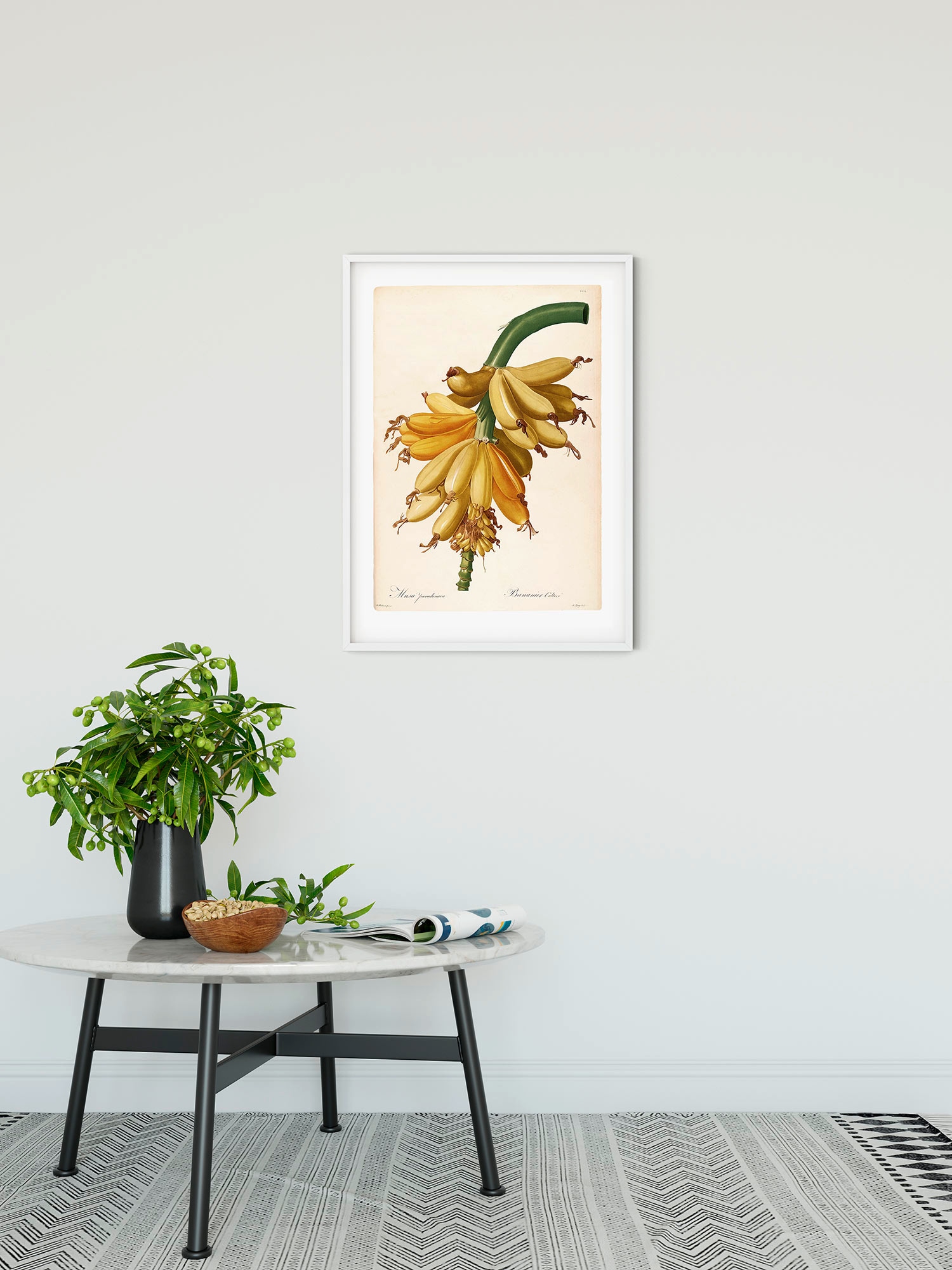 Komar Bild »Plantains«, Natur, (1 St.), Wandbild zur Dekoration - ohne Rahmen