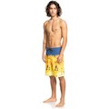 Quiksilver Boardshorts »Everyday Rager 20"«