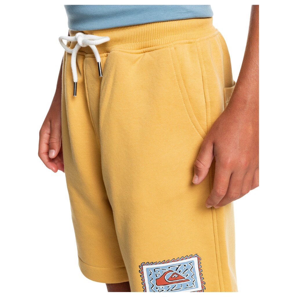 Quiksilver Trainingsshorts »Stir Roots Up 17"«