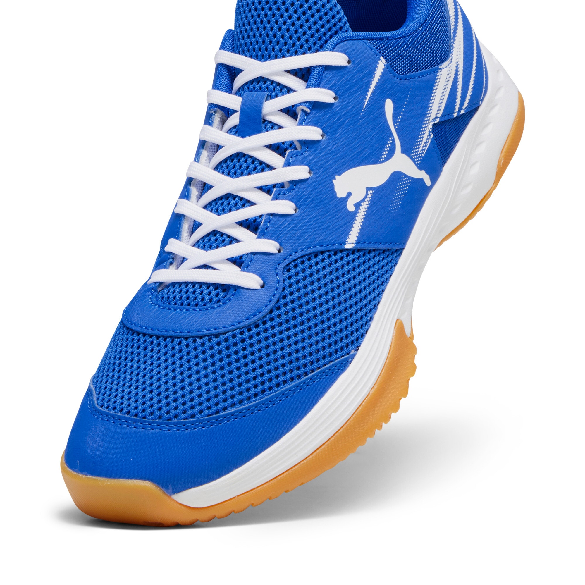 PUMA Hallenschuh »VARION II«