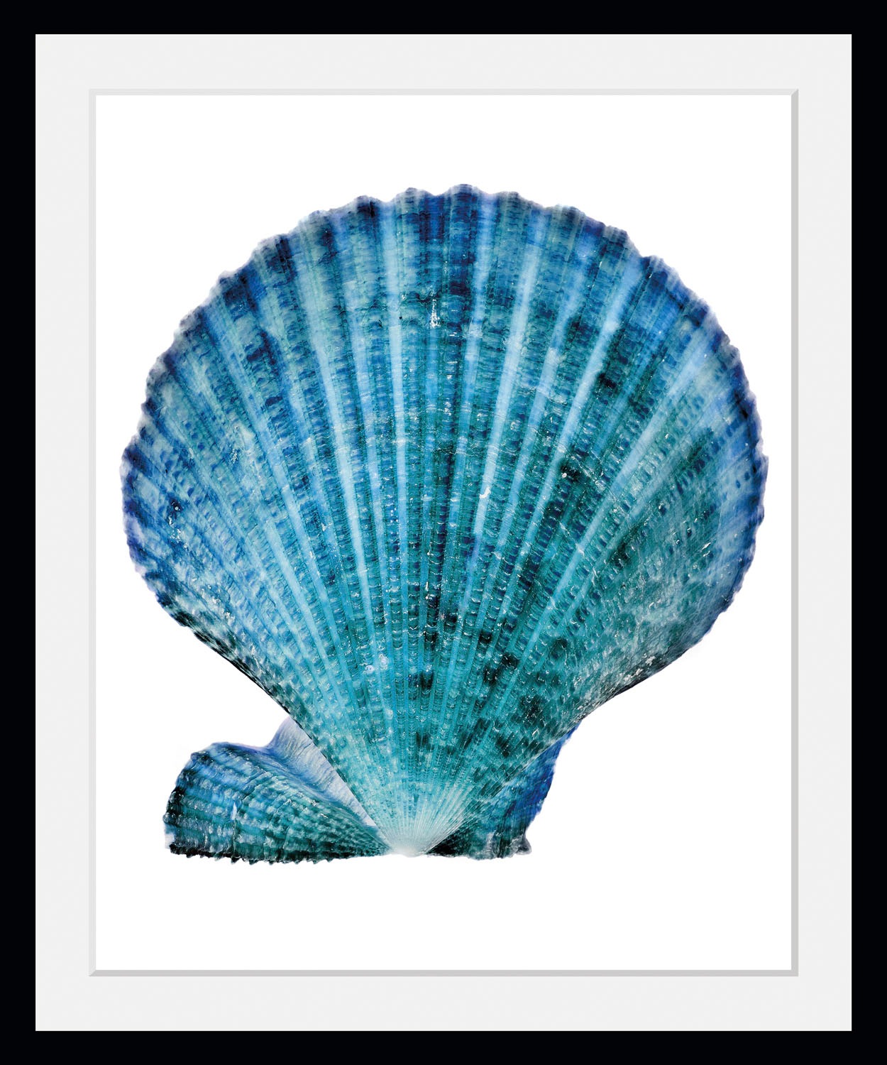 queence Bild »Kain«, Meer-Wassertiere-Kunst-Foto, (1 St.), HD Premium Poster-Druck inkl. Holzrahmen