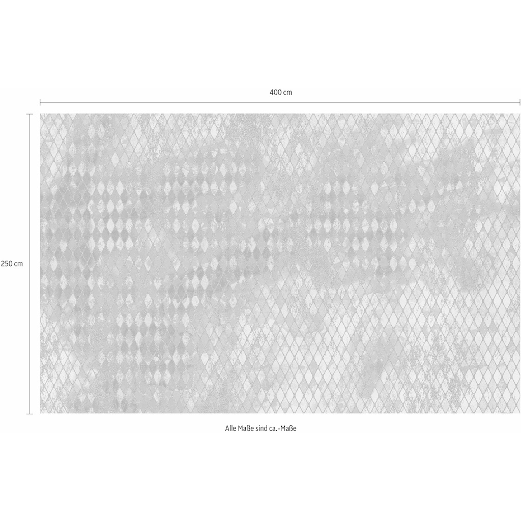 Komar Vliestapete »Harlekin«, 400x250 cm (Breite x Höhe), Vliestapete, 100 cm Bahnbreite