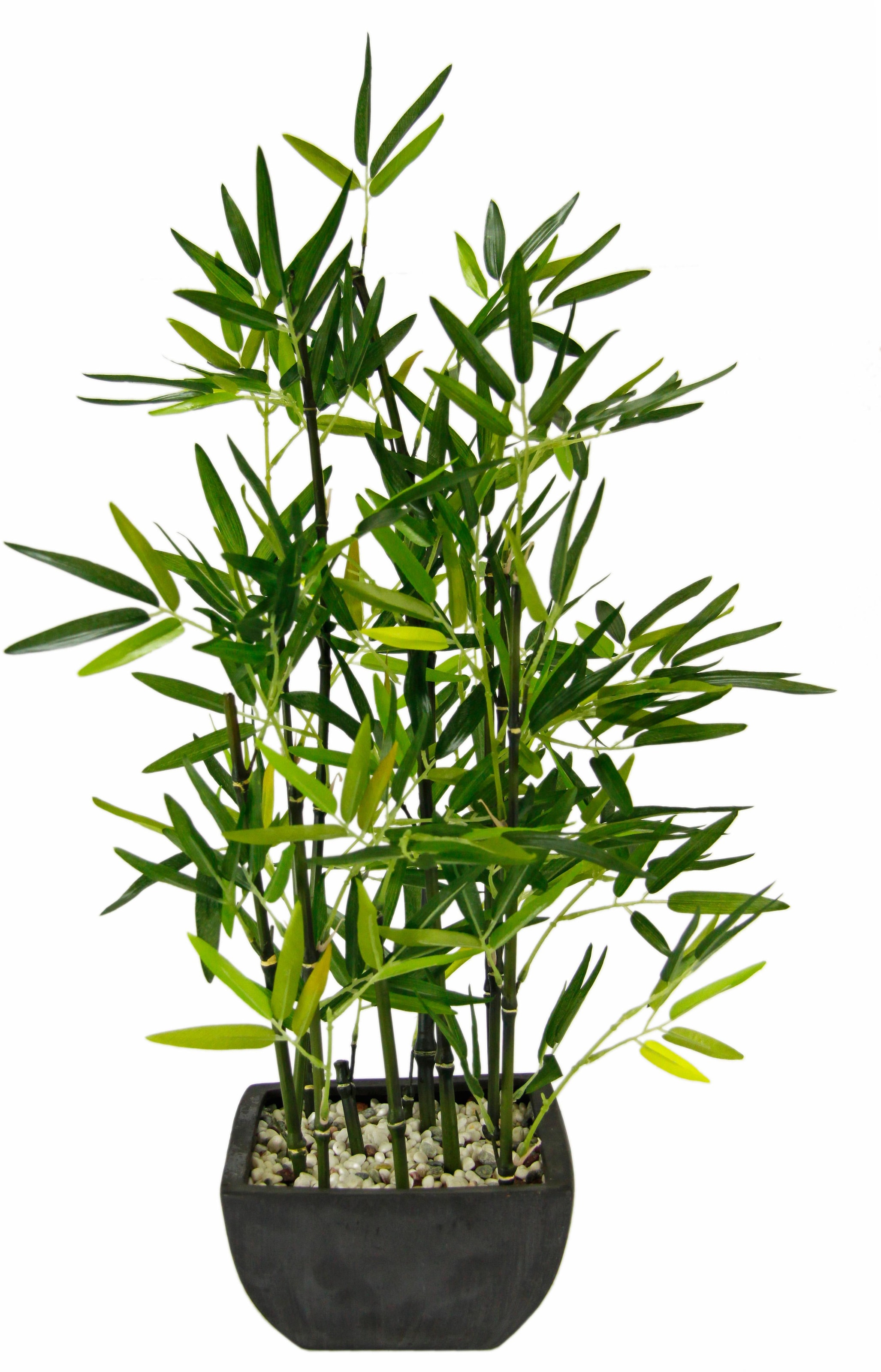 I.GE.A. Kunstpflanze »Bambus« online kaufen Garantie 3 XXL | Jahren mit