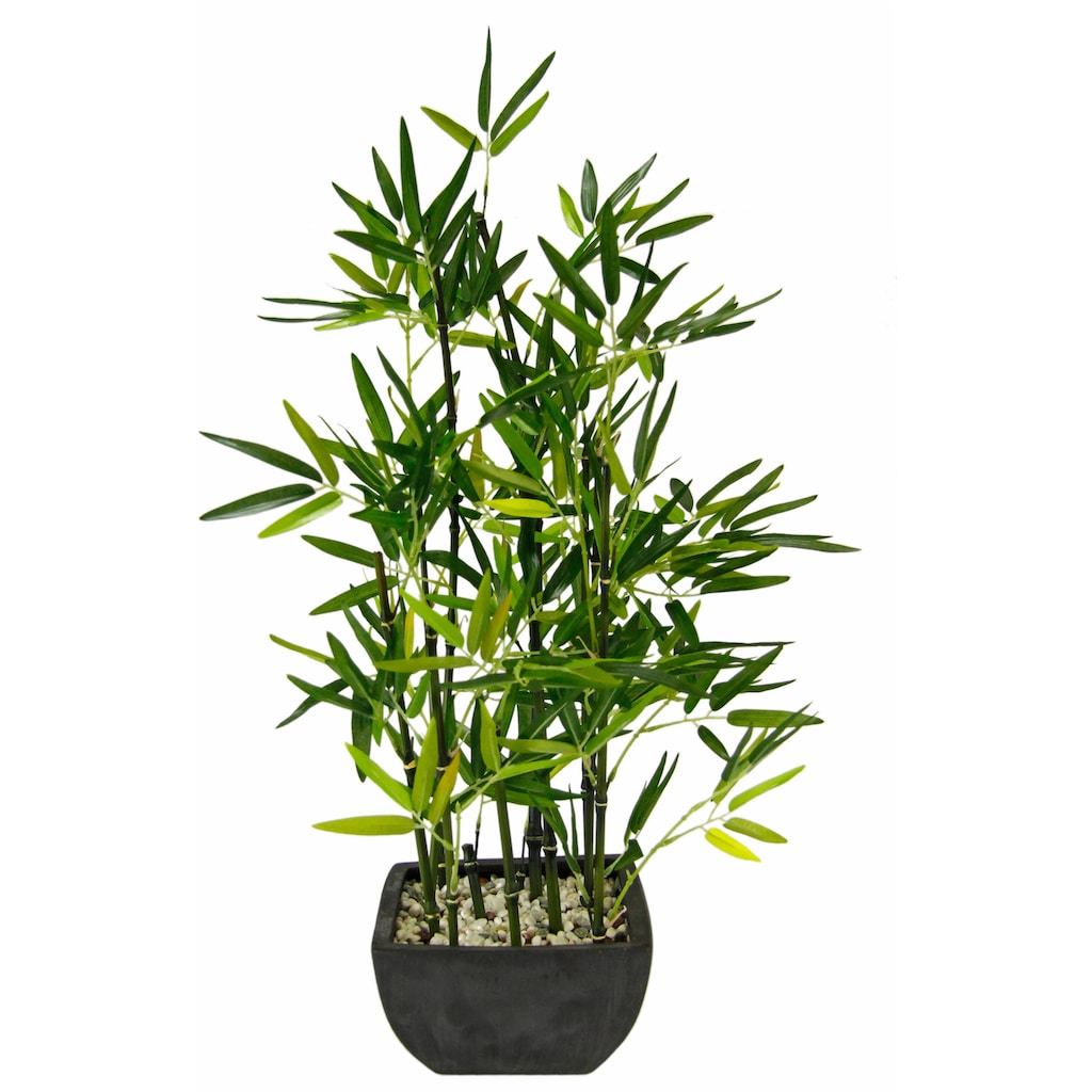 I.GE.A. Kunstpflanze »Bambus«