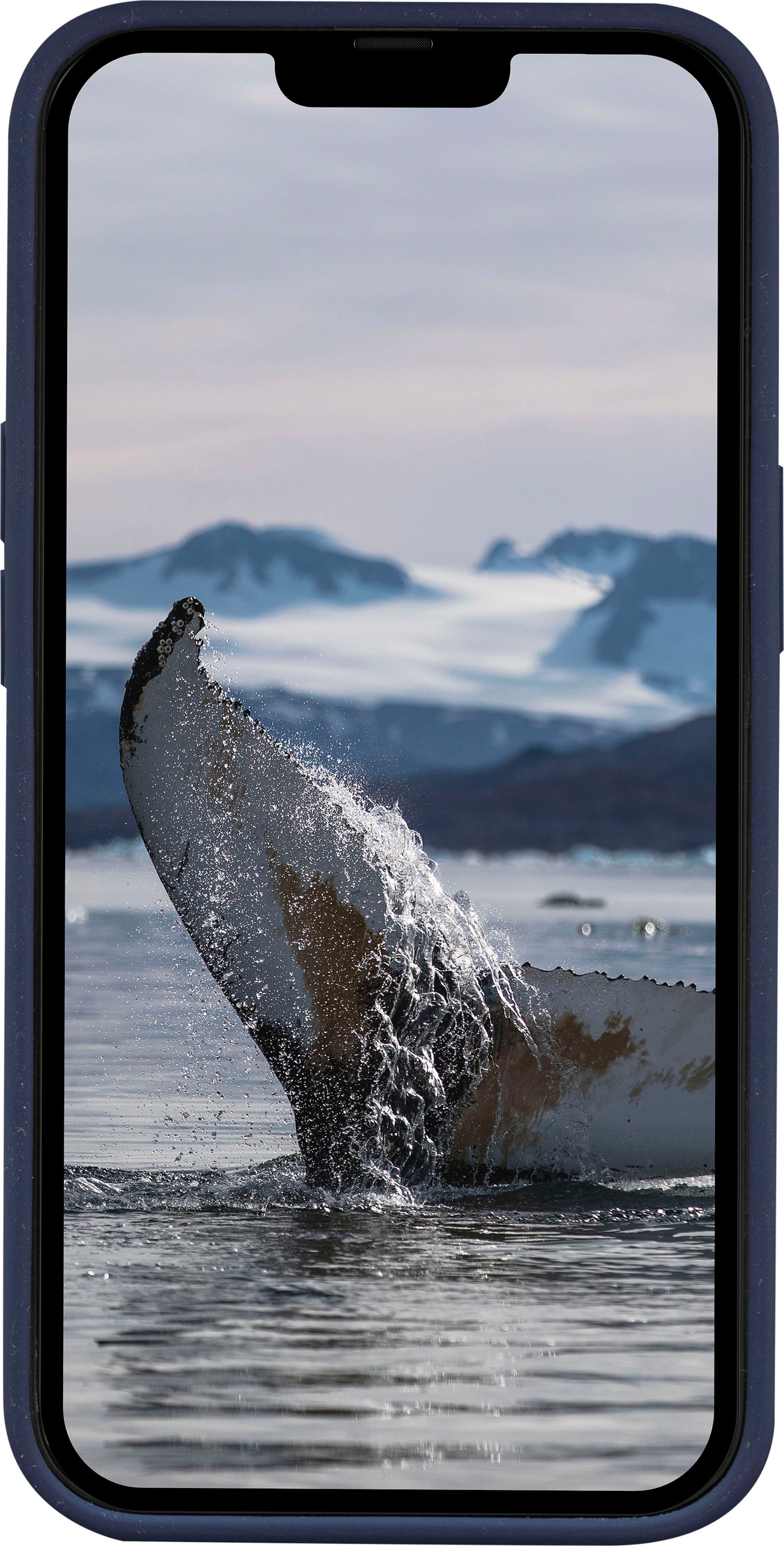 dbramante1928 Handyhülle »MONACO« iPhone 14 15,5 cm (6,1 Zoll)