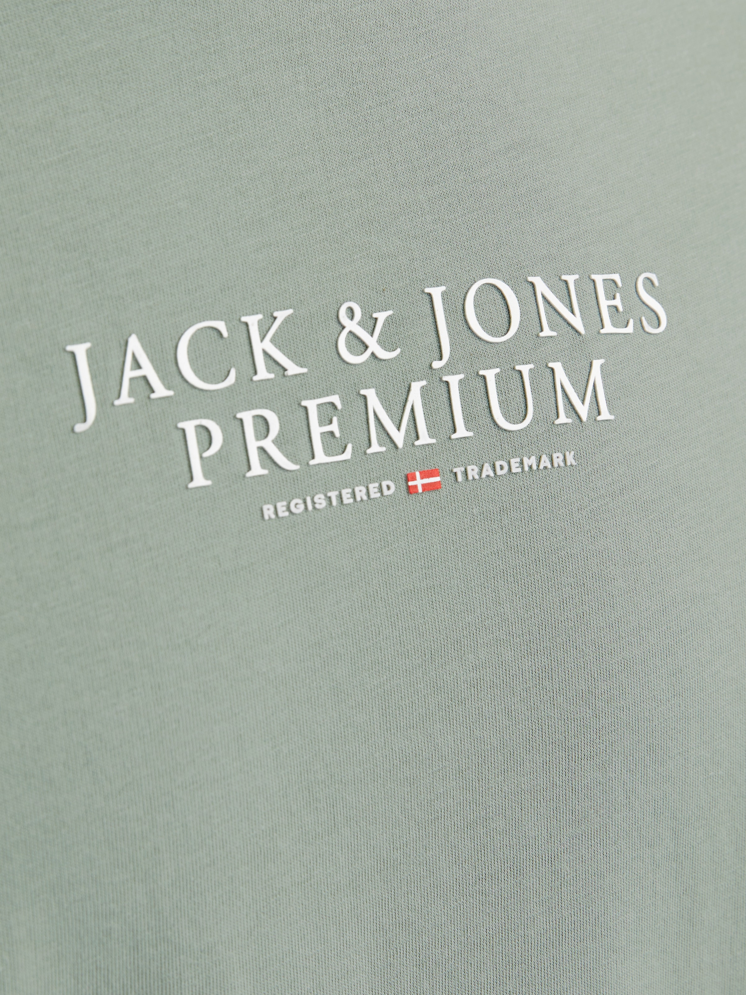 Jack & Jones Rundhalsshirt »JPRBLUARCHIE TEE CREW NECK« mit Logo Print