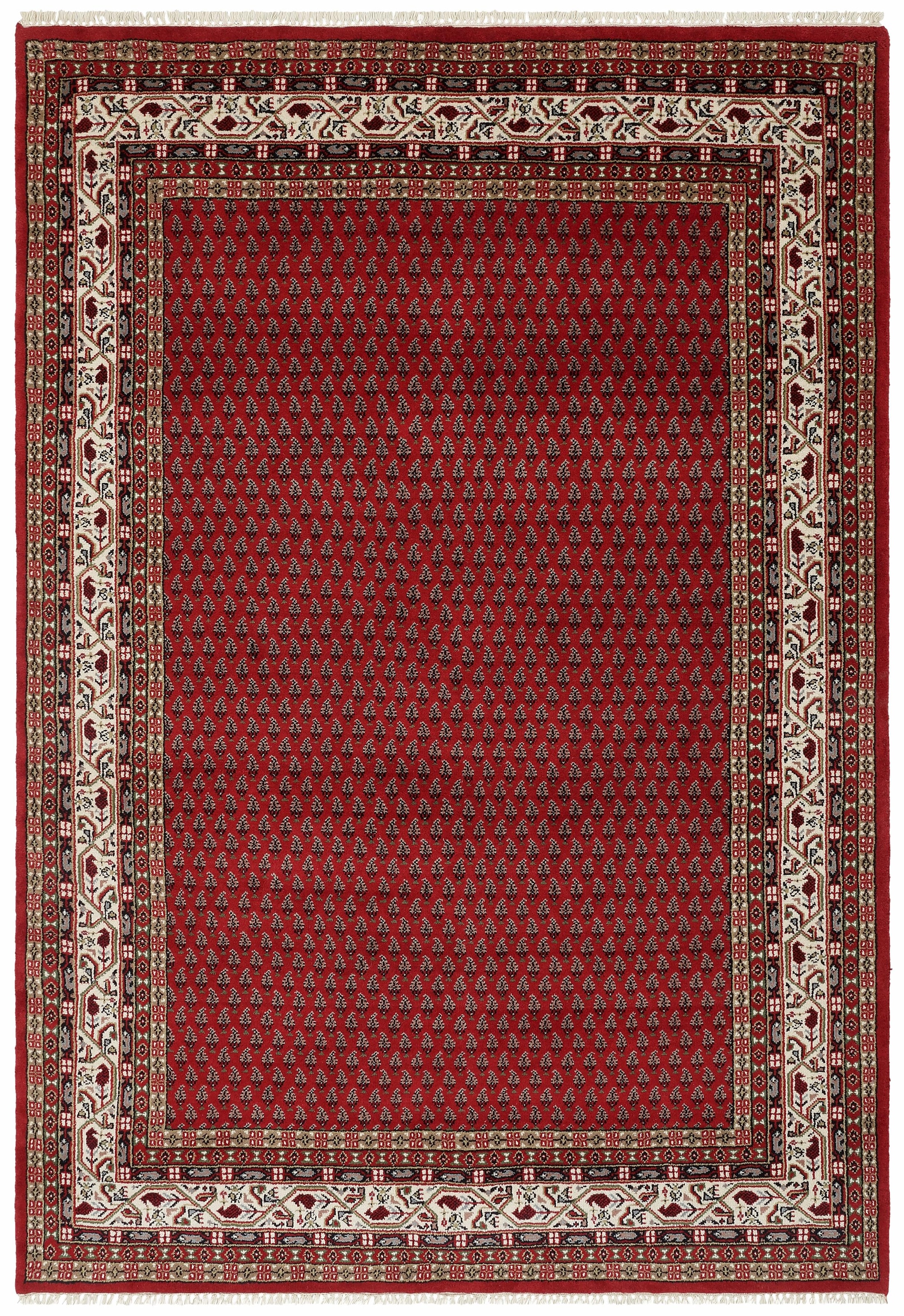 THEKO Orientteppich »Chandi Mir«, rechteckig, 12 mm Höhe, reine Wolle, handgeknüpft, mit Fransen