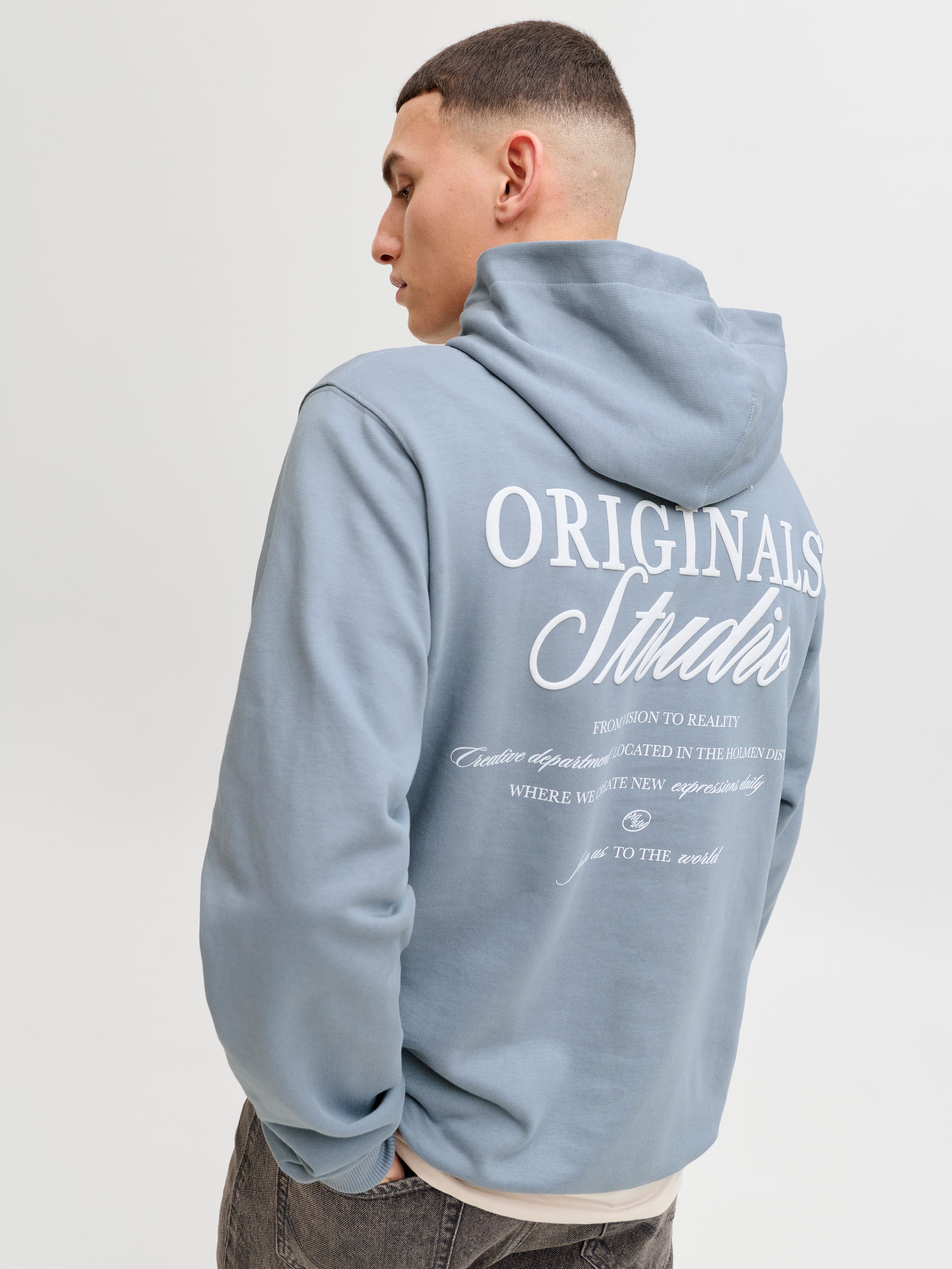 Jack & Jones Kapuzensweatshirt »JORNORREBRO TYPO BACK SWEAT HOOD SN«, mit Print

