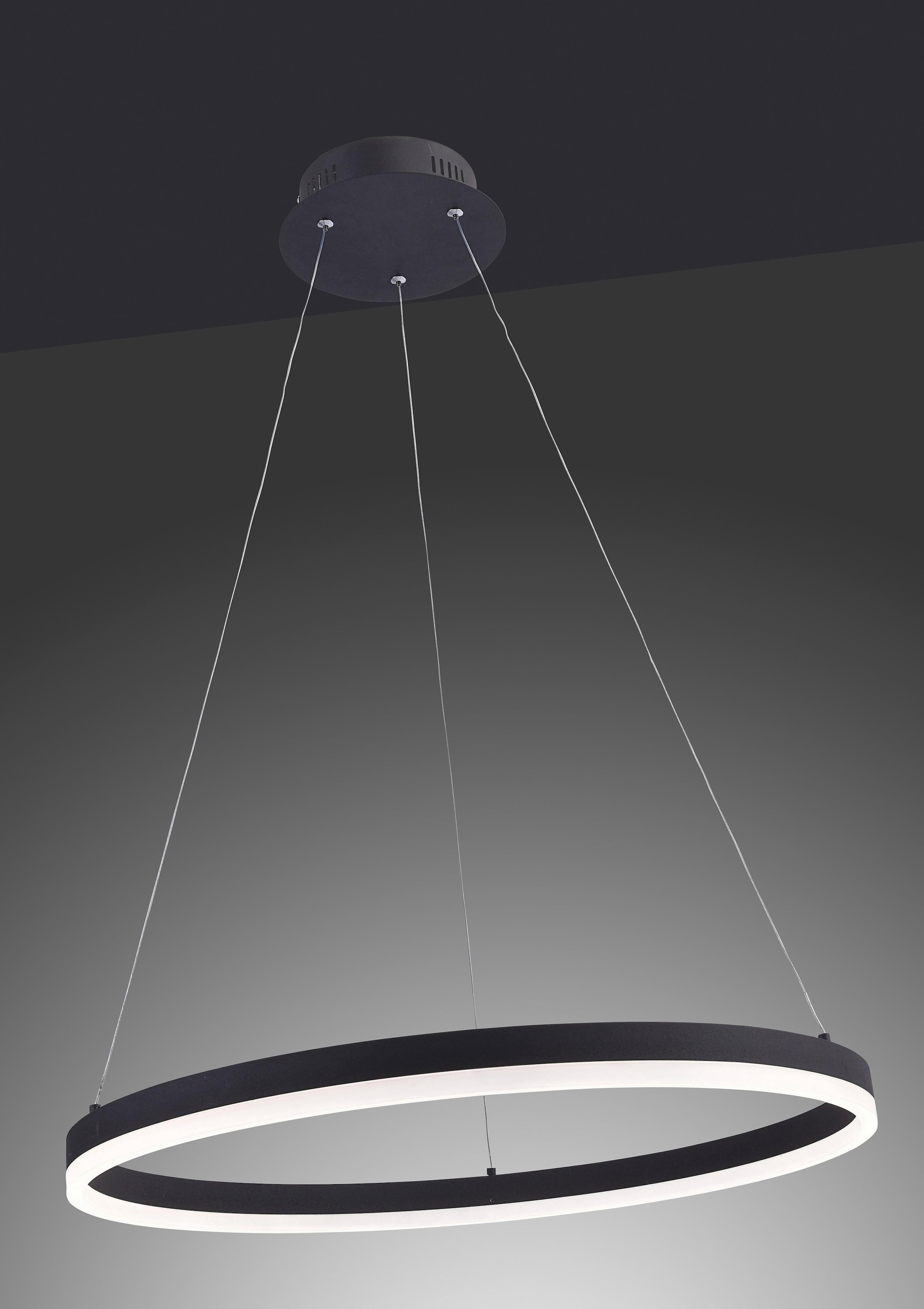 Paul Neuhaus »TITUS«, 3 | integrierte stufenlos LED, online flammig-flammig, Garantie XXL Pendelleuchte dimmbar, kaufen 1 Ø Memoryfunktion, cm mit 60 fest Jahren