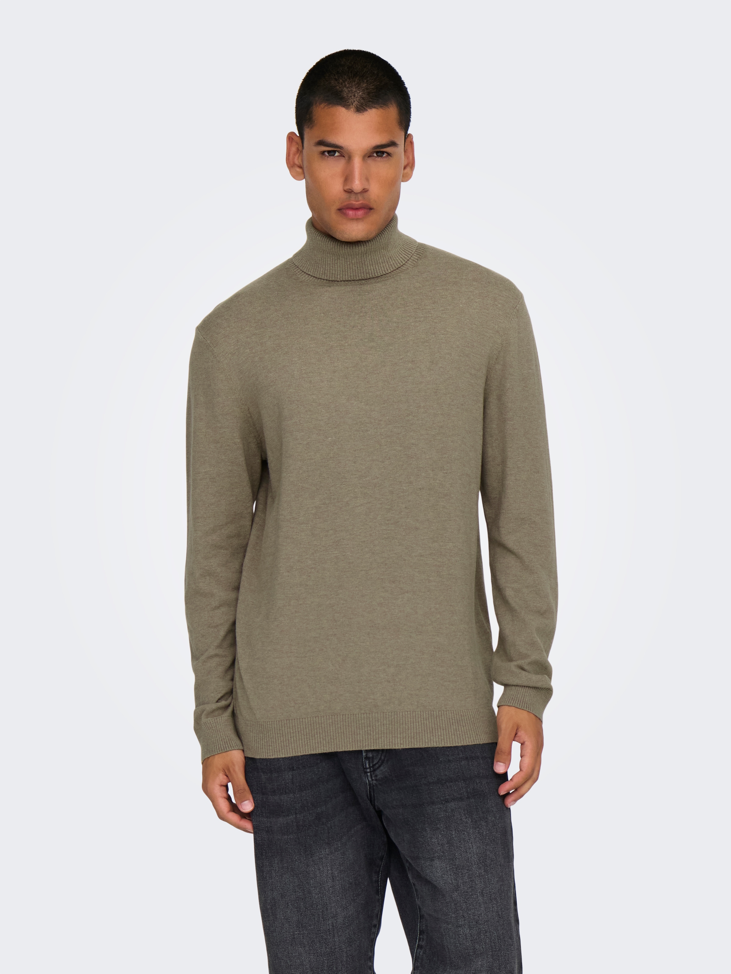 ONLY & SONS Stehkragenpullover »ONSLOUI REG 12 MEL ROLL KNIT NOOS«