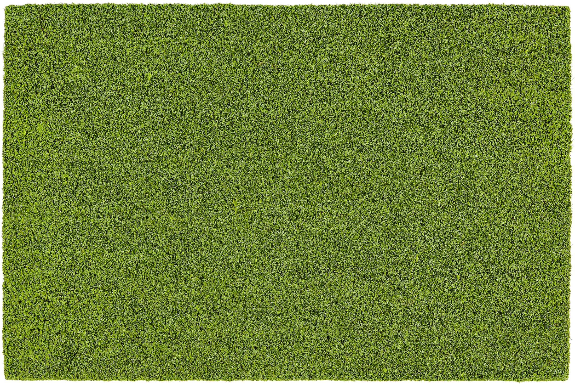 ASTRA Fußmatte »Coco Color Trend« rechteckig 15 mm Höhe Kokos Türmatte, Aussenbereich, moderne Farben