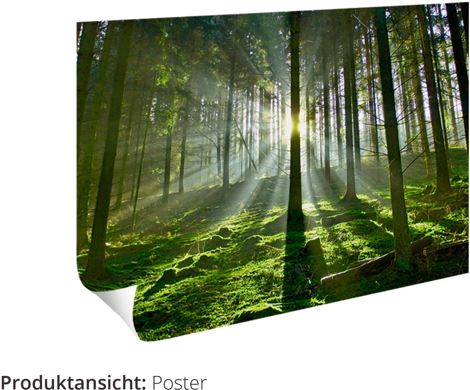Artland Wandbild »Traumfänger Wasserfarbe«, Muster, (1 St.), als Leinwandbild, Poster, Wandaufkleber in verschied. Größen