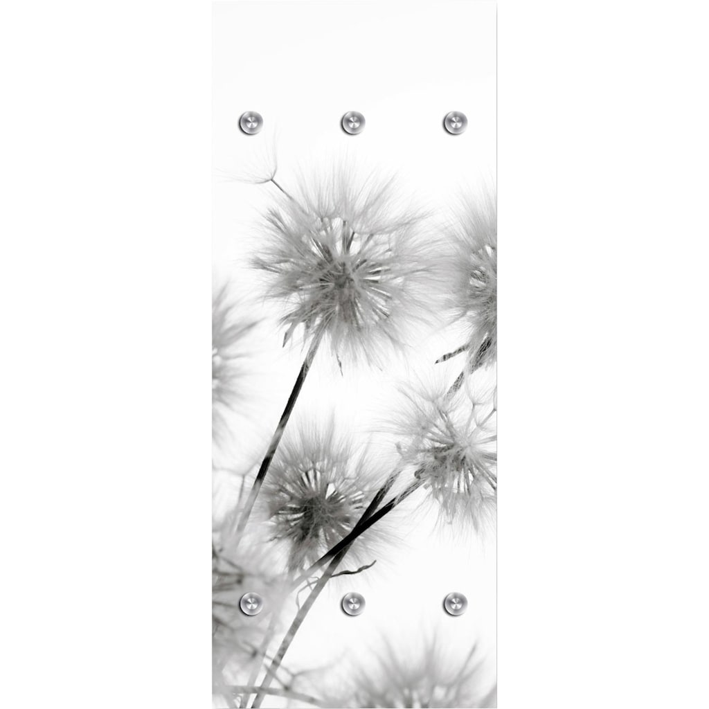 queence Garderobenleiste »Pusteblumen«, mit 6 Haken, 50 x 120 cm