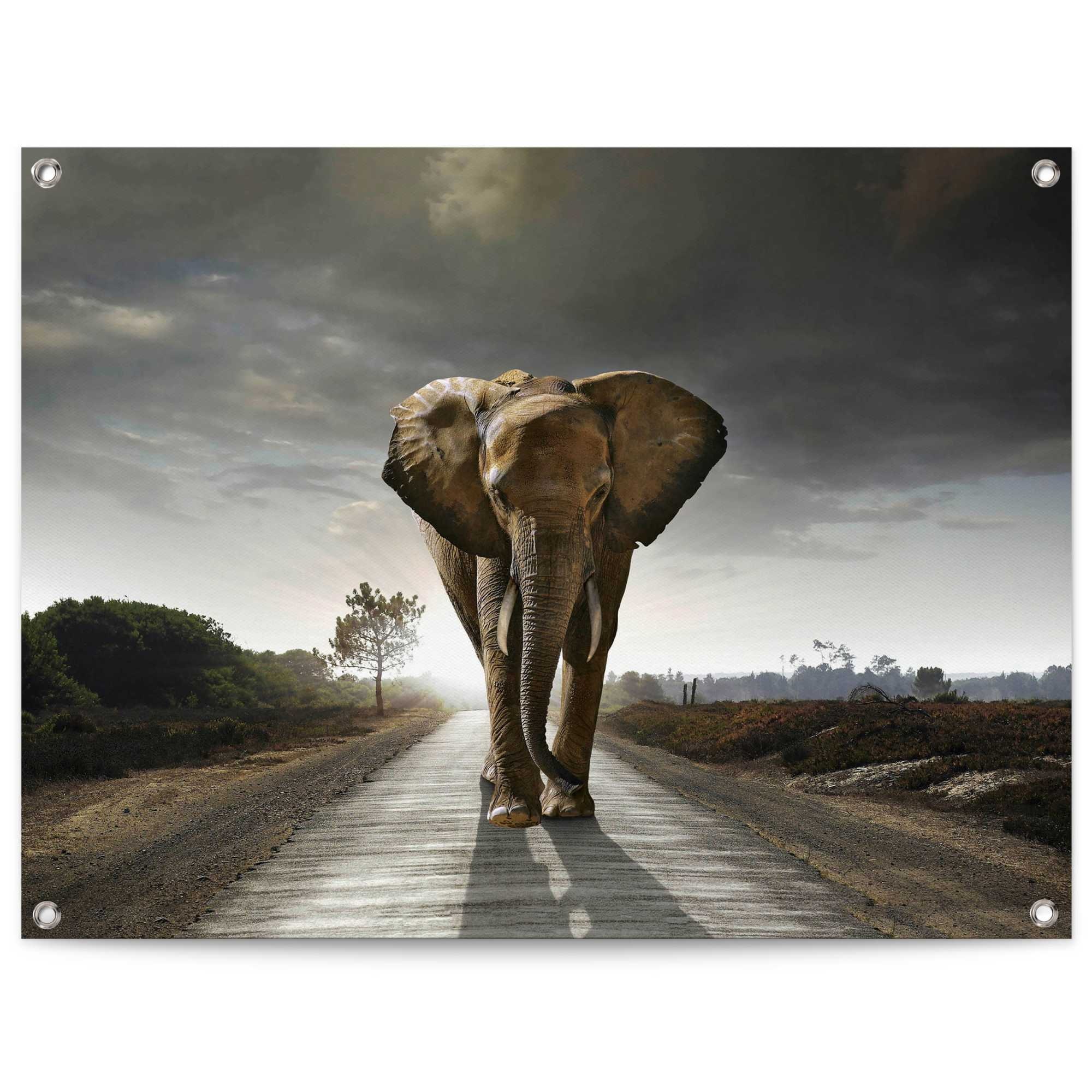 Reinders! Poster »Elefantenkönig«, Outdoor für Garten oder Balkon bequem  bestellen