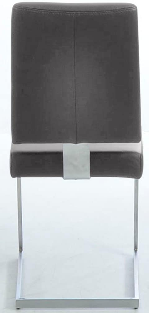 K+W Komfort & Wohnen Freischwinger, Leder Longlife BRONCO, stabiles Hochkantgestell, in Leder oder Microfaser
