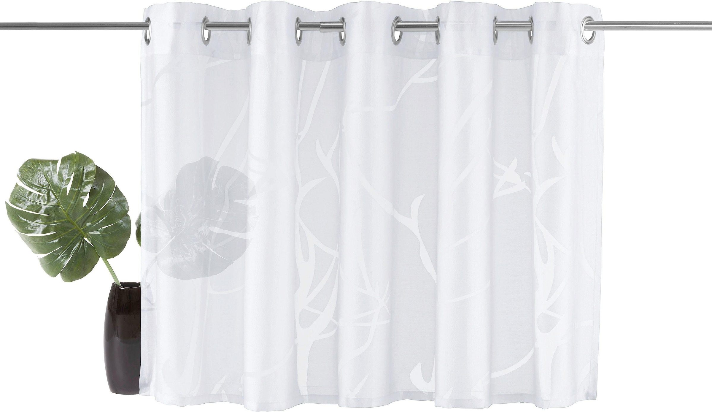 kaufen online Ausbrenner, (1 Scheibengardine Halbtransparent, my Viskose home St.), »Anna«,