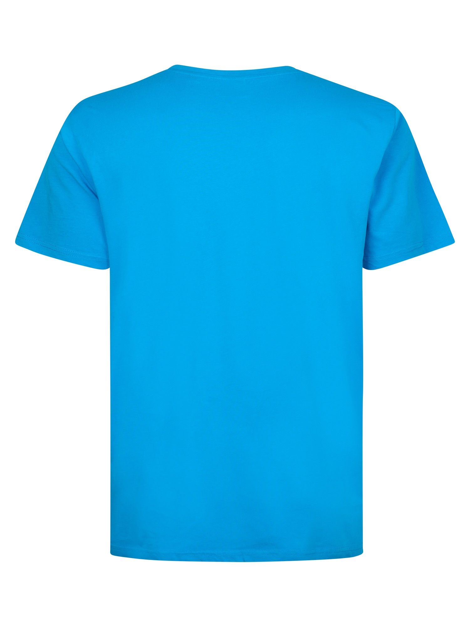 Petrol Industries Rundhalsshirt mit Logo Stickerei