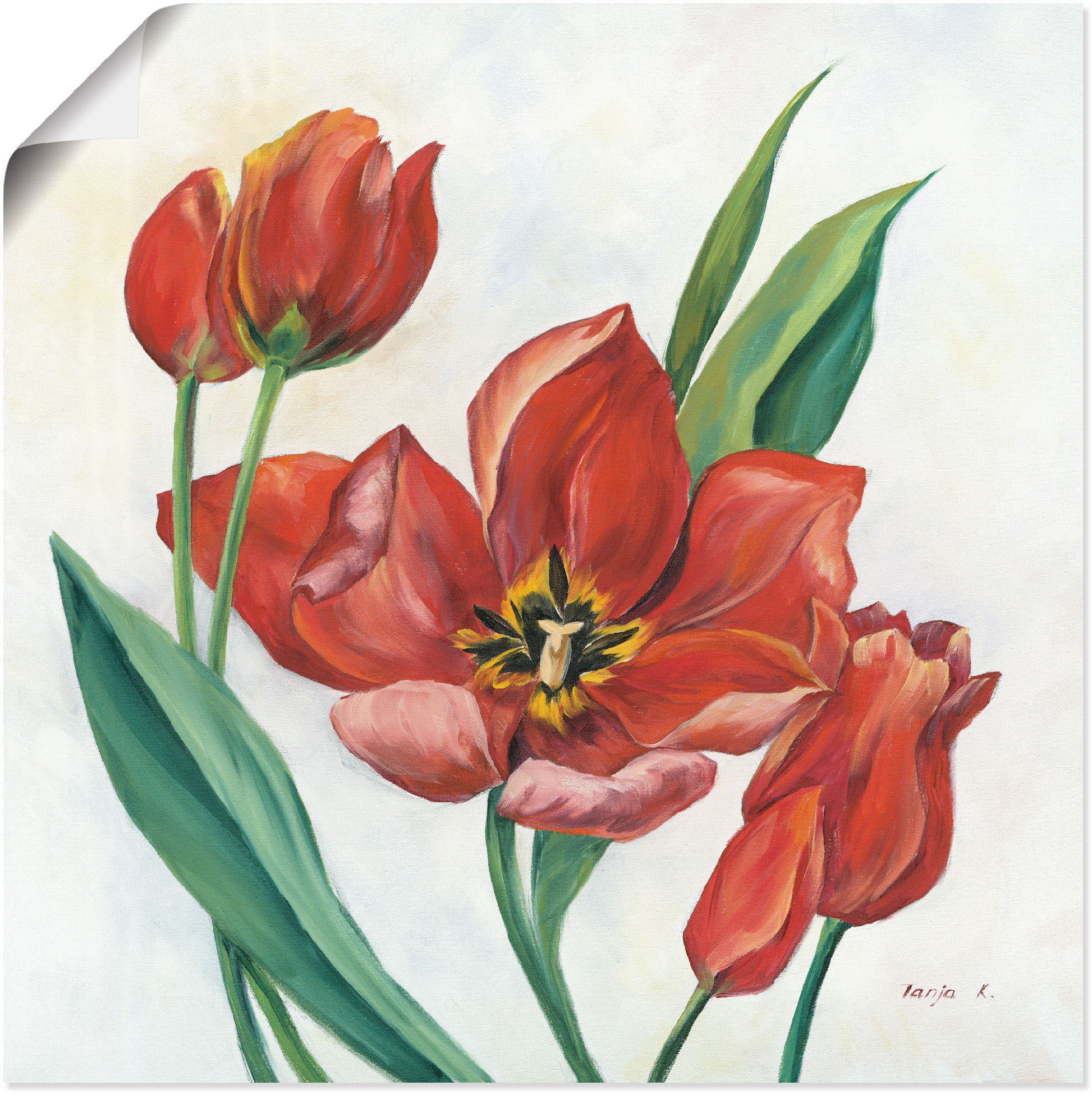 Artland Wandbild »Tulpen (1 bestellen in verschied. Raten als Größen St.), auf Poster I«, Blumenbilder, Leinwandbild