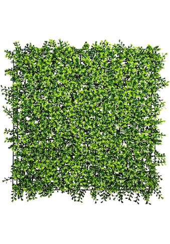 Creativ green Kunstpflanze »Buchsbaummatte«, (1 St.) kaufen