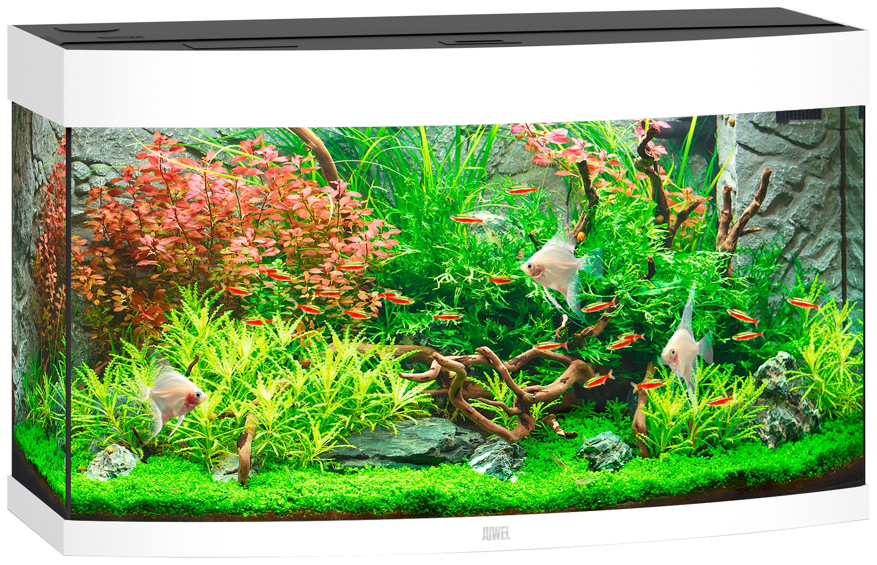 JUWEL AQUARIEN Aquarium »Vision 180 LED«, 180 Liter, BxTxH: 92x41x55 cm kaufen
