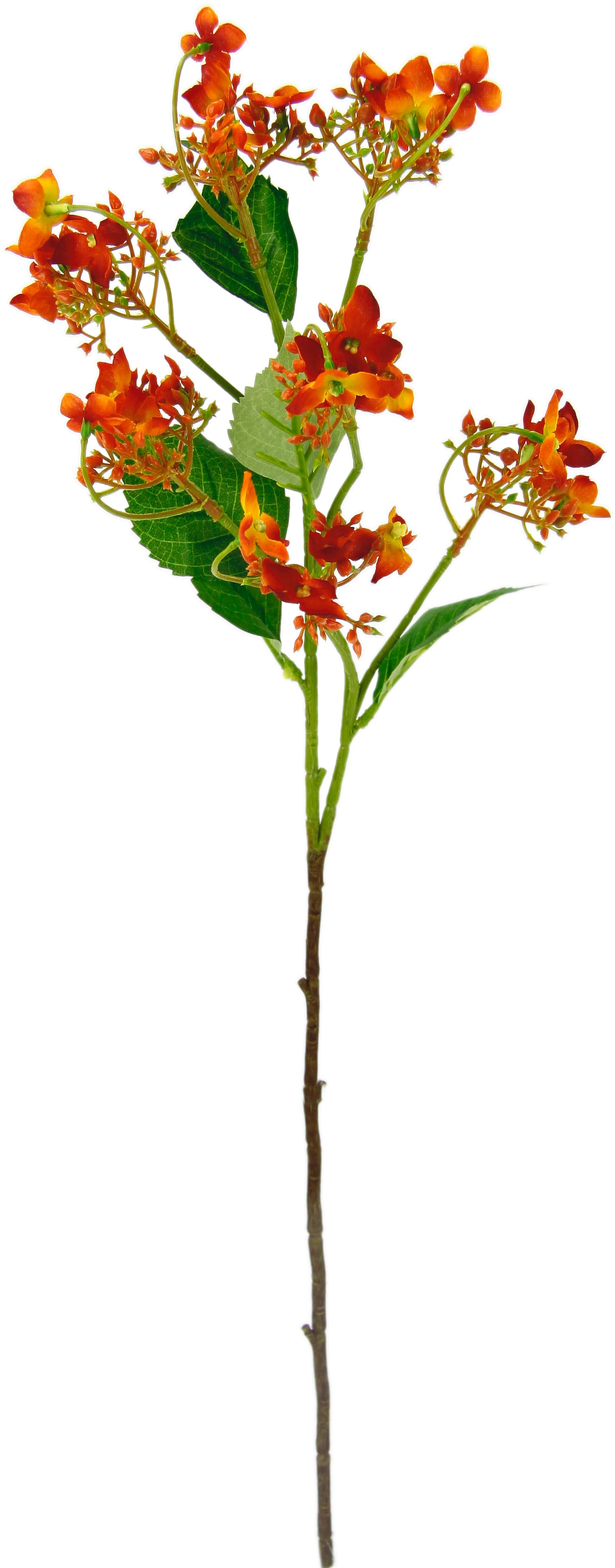 5er Dekozweig künstlicher Zweig, Kunstpflanze, Kunstblume bequem »Blütenzweig«, Set I.GE.A. bestellen