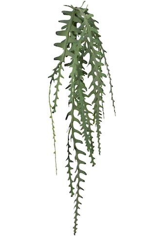Creativ green Kunstgirlande »Epiphyllumranke«, (1 St.) kaufen