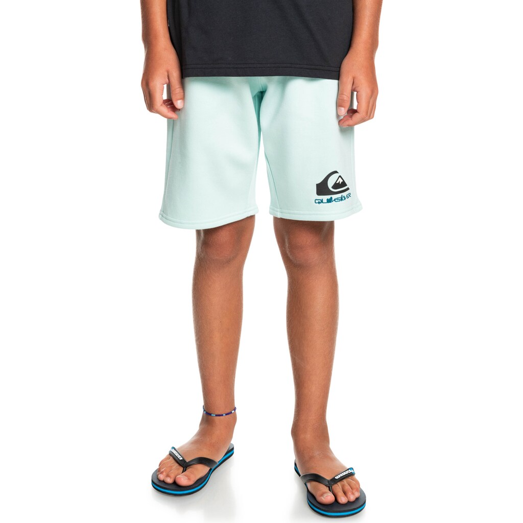 Quiksilver Sweatshorts »Easy Day«