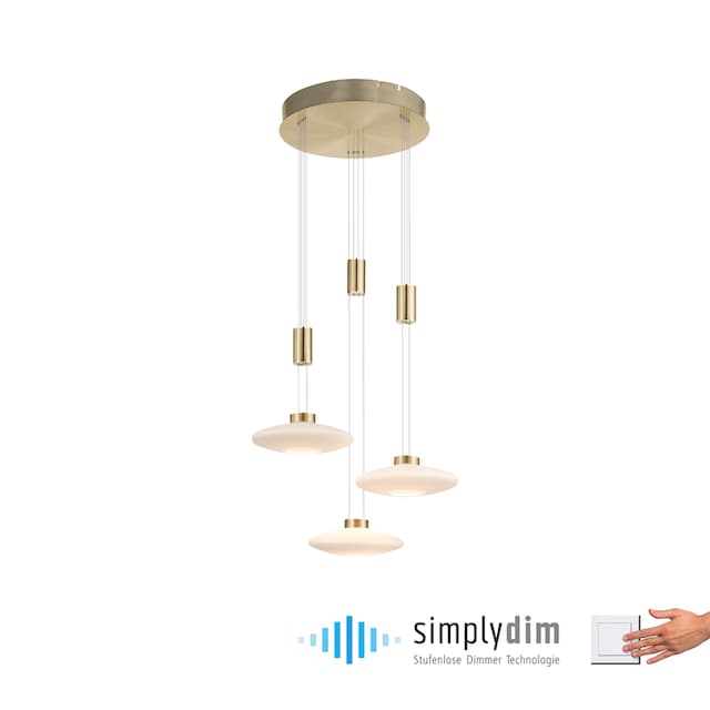 Netz Memory, Simply Garantie Jahren kaufen Neuhaus | Pendelleuchte dimmbar, mit nach XXL 3 LED, »LAUTADA«, 3 vom Dim, online Trennung Paul flammig-flammig,