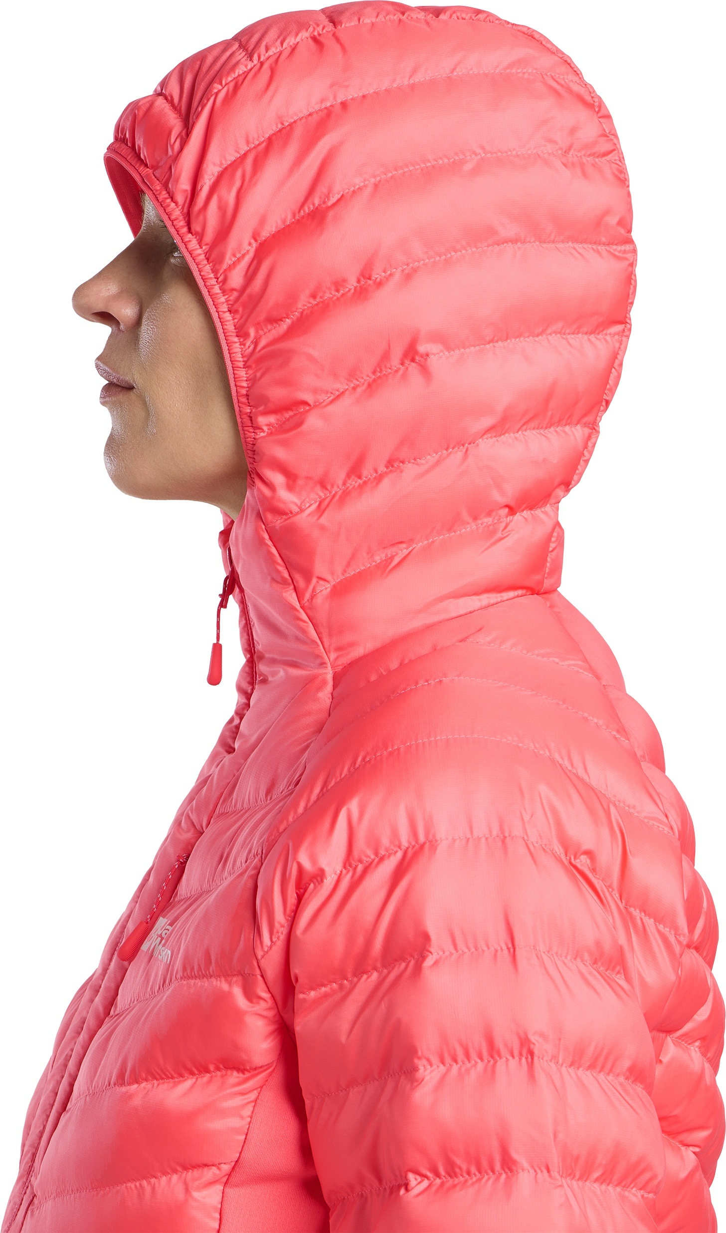 Jack Wolfskin Funktionsjacke »ROUTEBURN PRO INS JKT W«, mit Kapuze