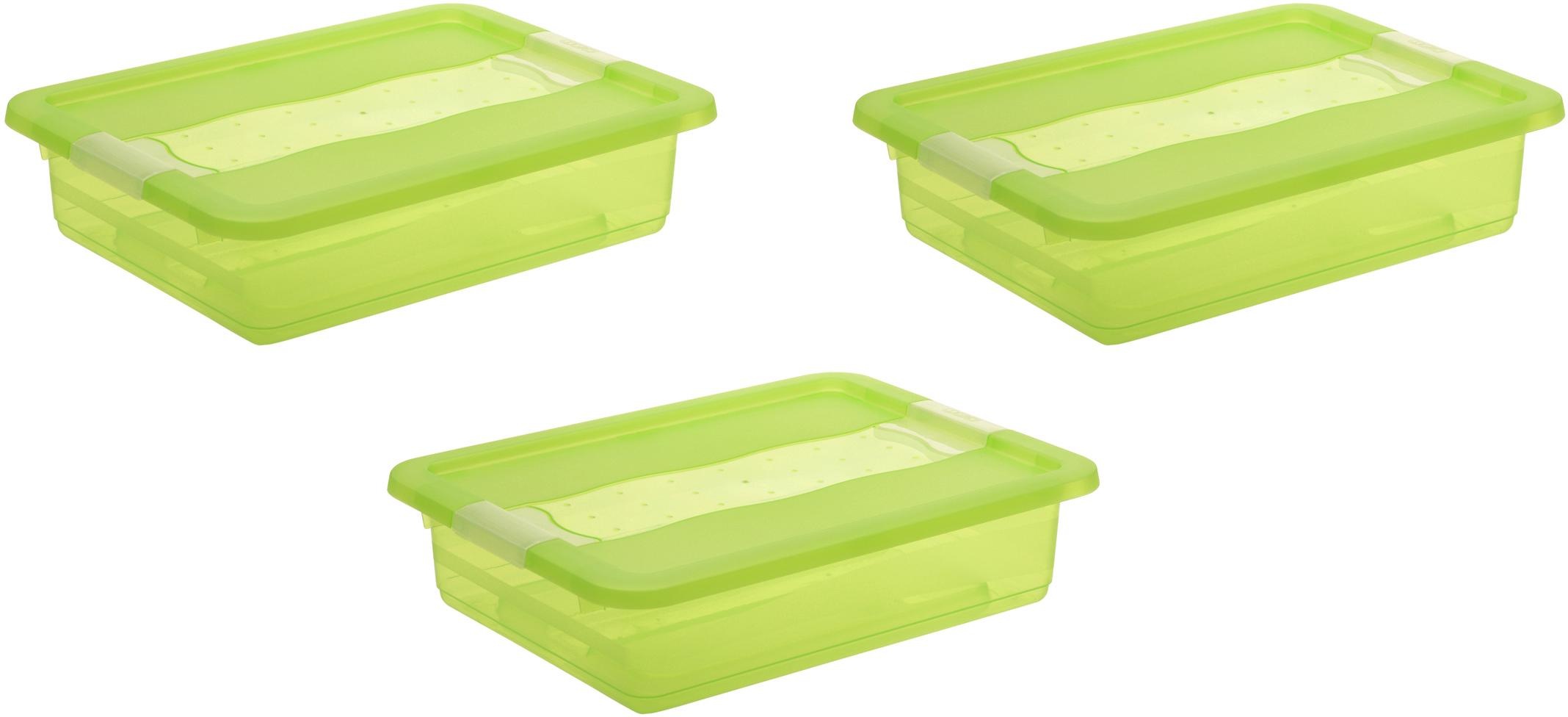 keeeper Organizer "cornelia" Aufbewahrungsbox, mit Deckel, Schiebeverschluss, 7 L