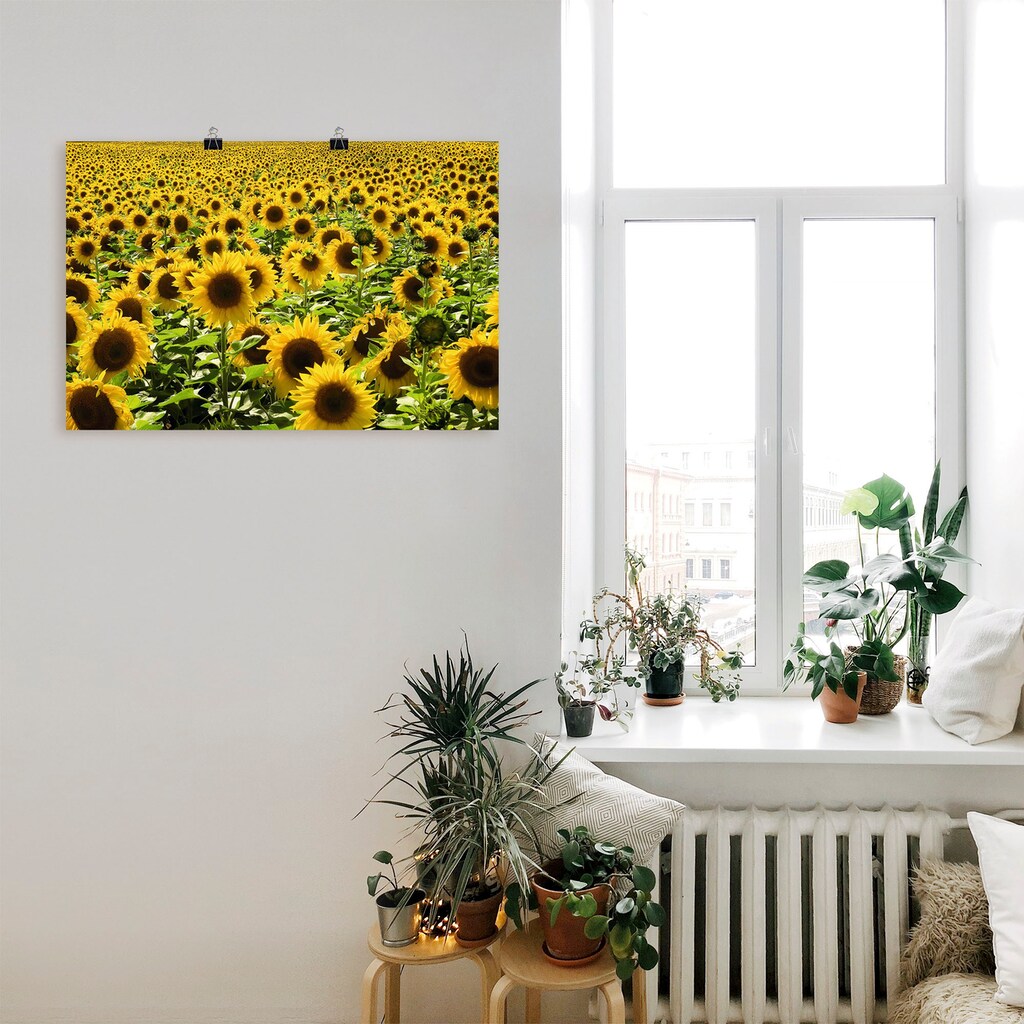 Artland Wandbild »Sonnenblumenfeld«, Blumen, (1 St.)