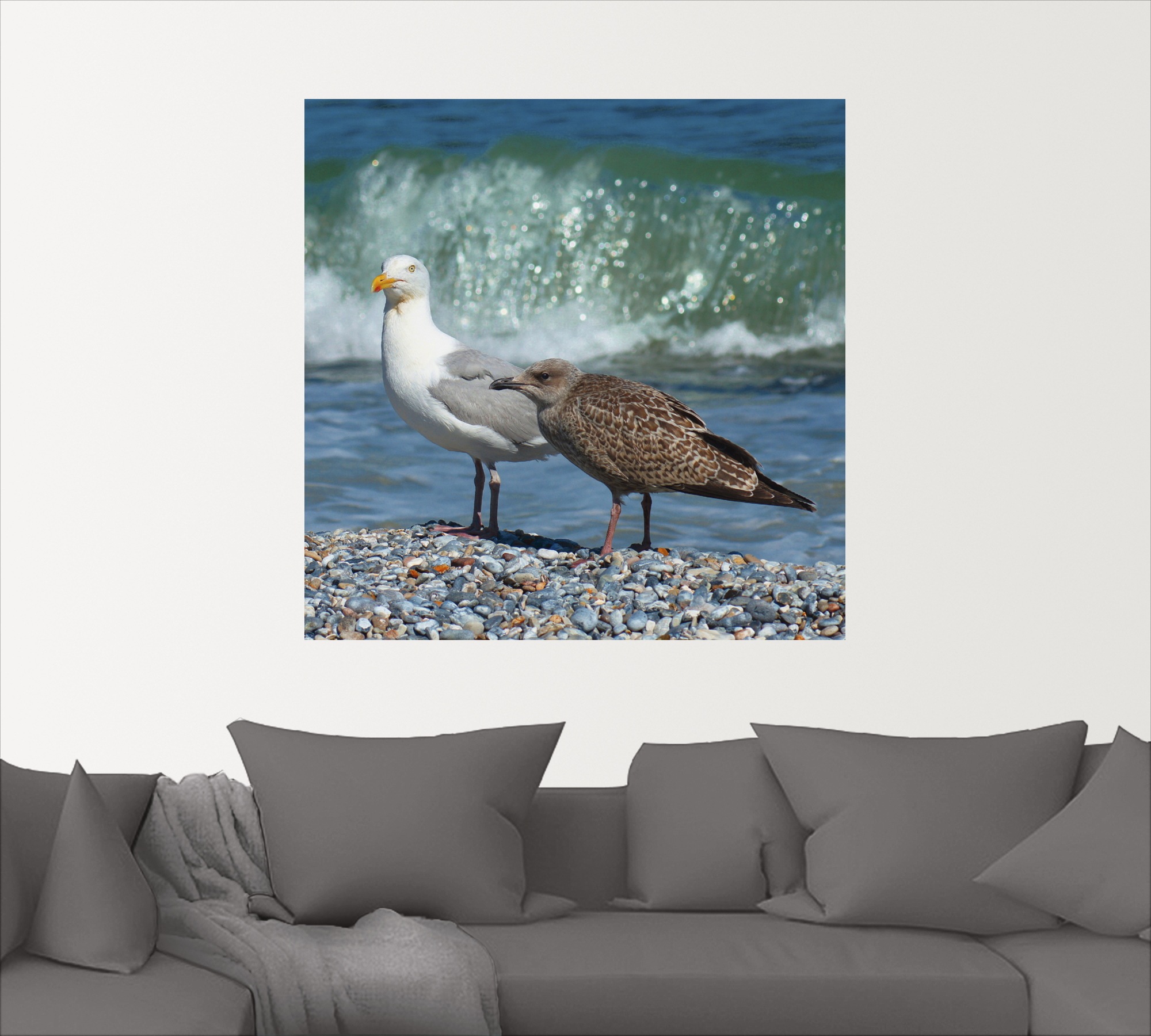 Artland Wandbild »Möwen in der Meeresbrandung«, Vögel, (1 St.), als Poster, Wandaufkleber in verschied. Größen
