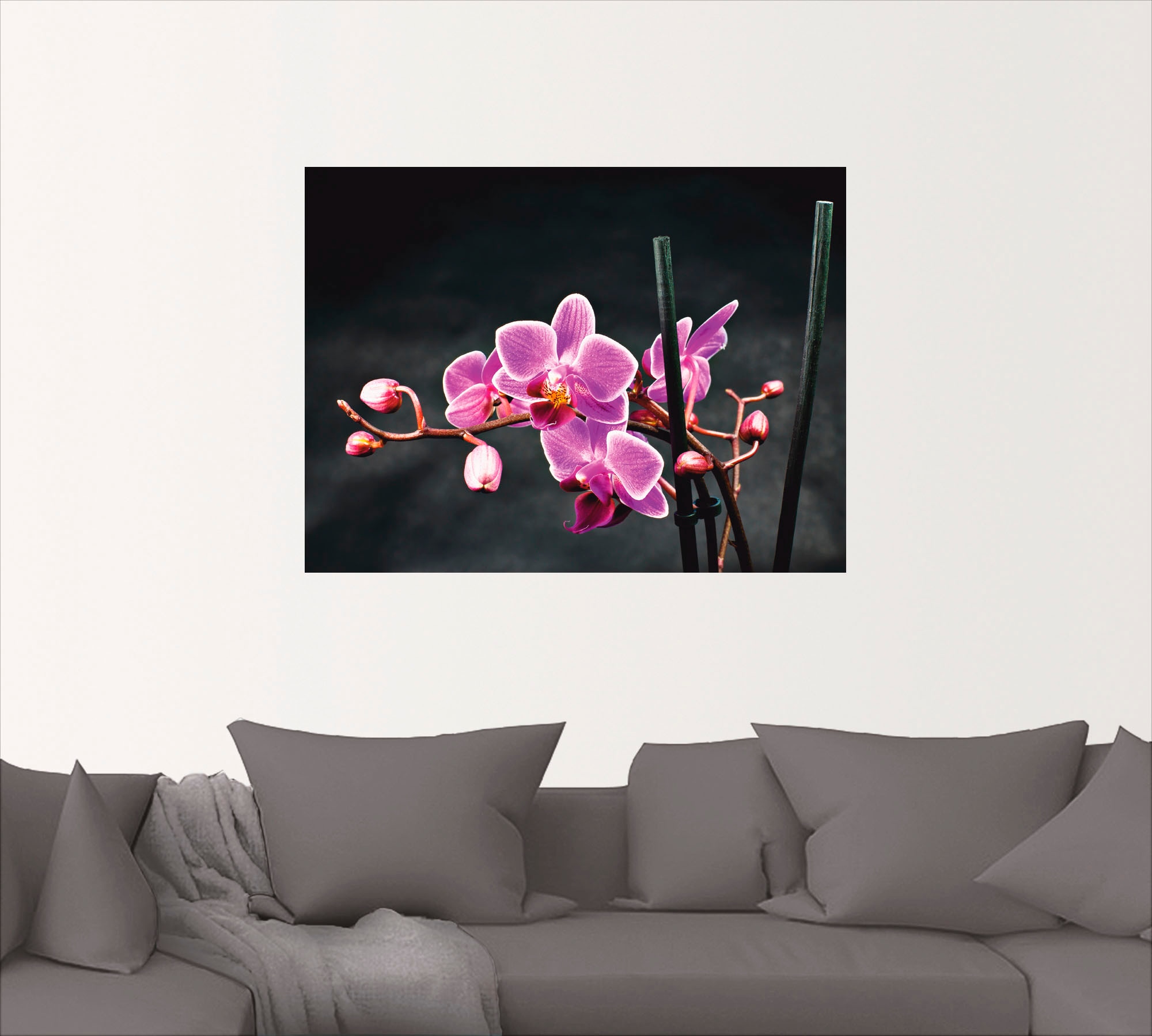 Artland Wandbild »Eine Orchidee vor schwarzem Hintergrund«, Blumen, (1 St.), als Leinwandbild, Poster, Wandaufkleber in verschied. Größen