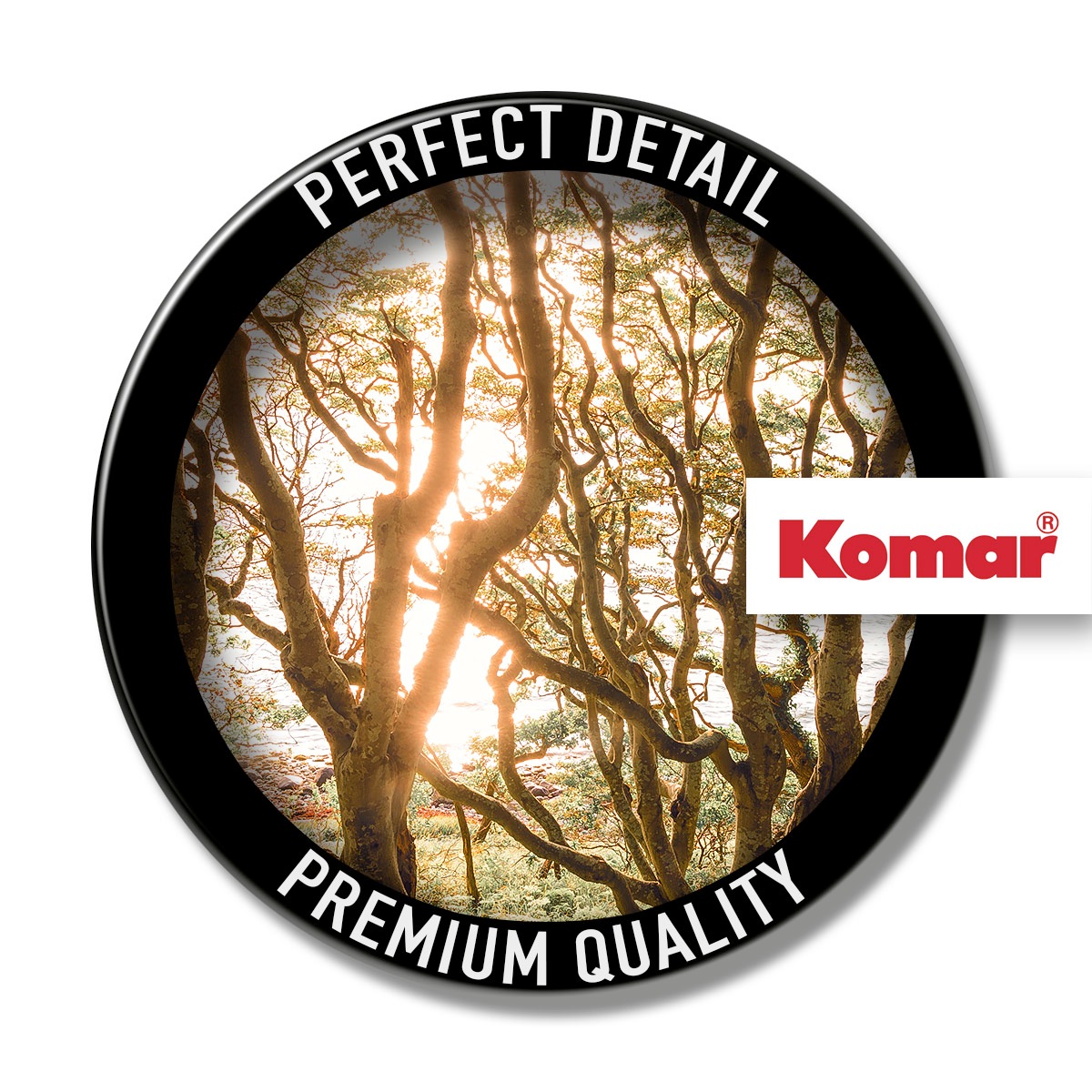 Komar Fototapete »Vlies Fototapete - Bold Birch - Größe 400 x 250 cm« Motiv | bedruckt glatt