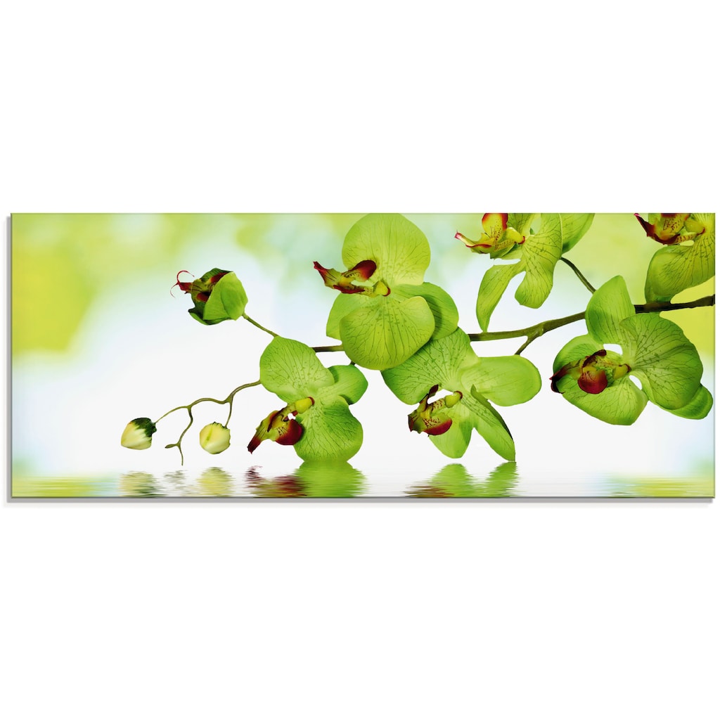 Artland Glasbild »Schöne Orchidee mit grünem Hintergrund«, Blumen, (1 St.)