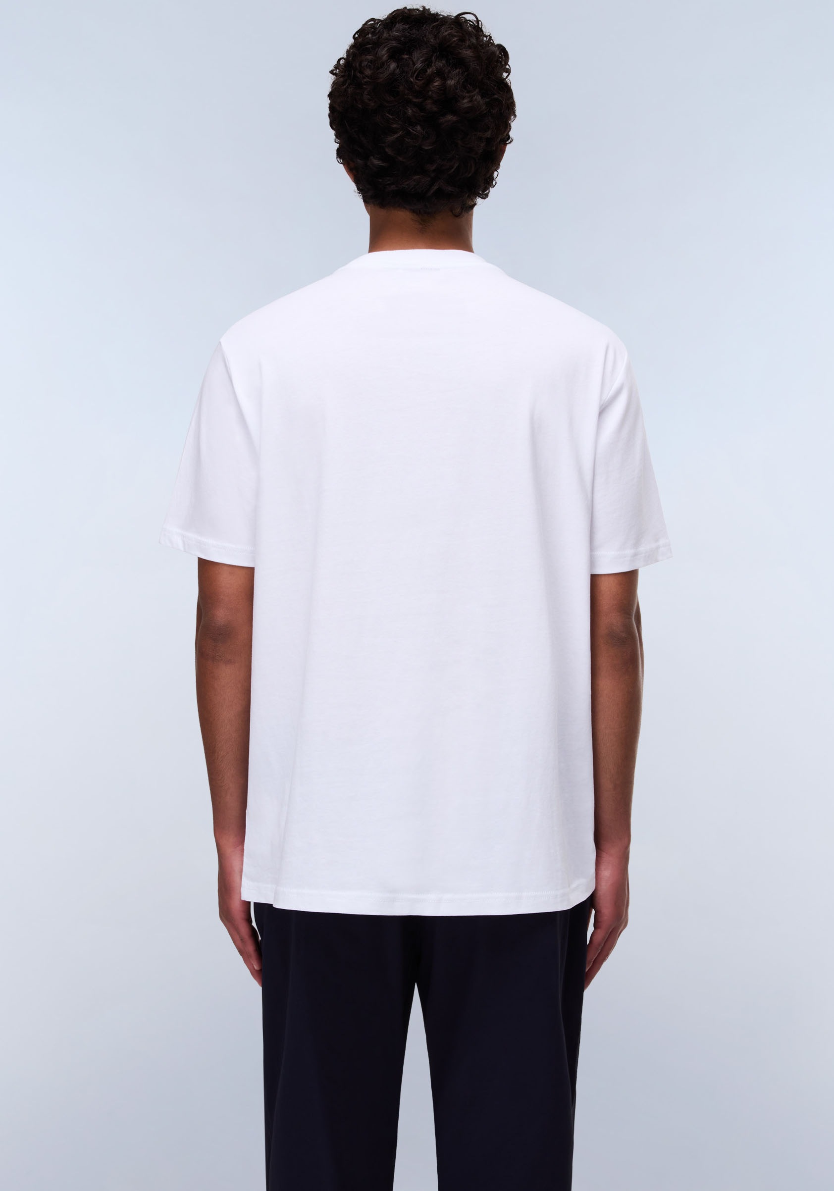 Napapijri T-Shirt »DRAPEAU«, mit Print, Rundhals, Jersey